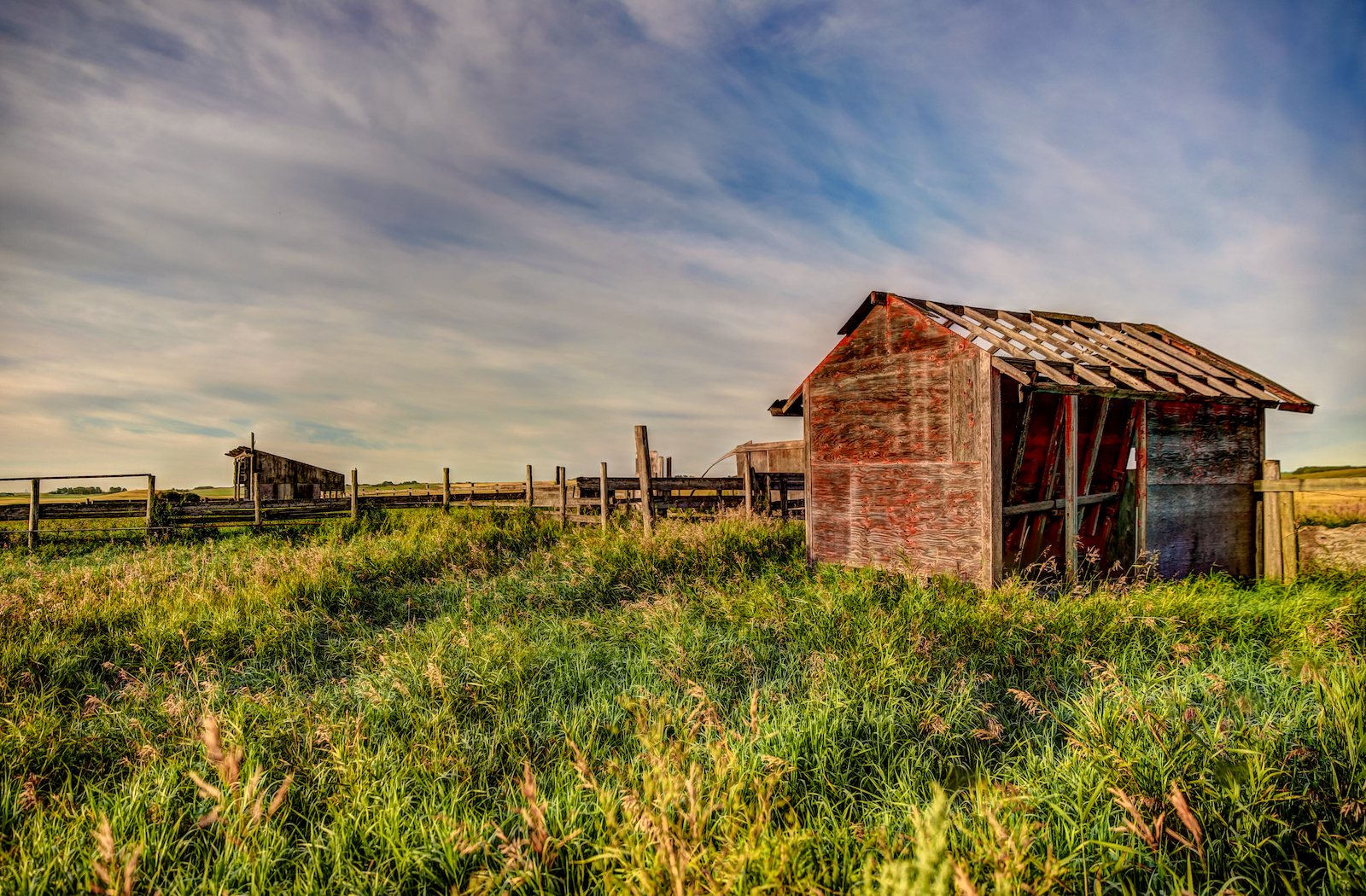 2019 Calgary Rural-16.JPG