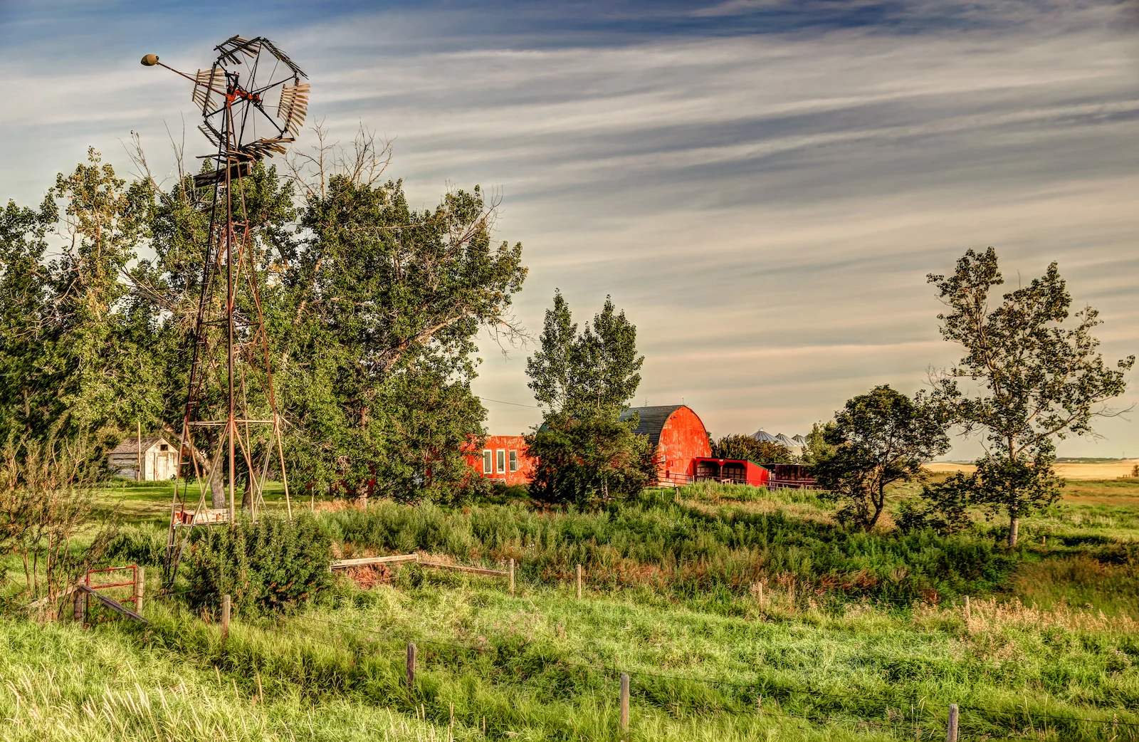 2019 Calgary Rural-18.JPG