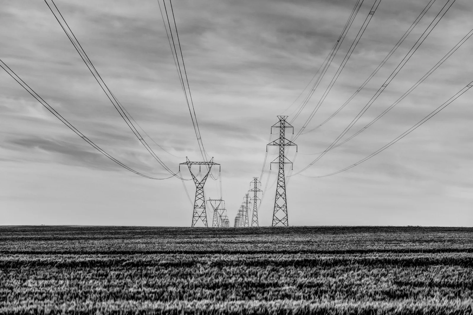 2019 Calgary Rural-26.JPG