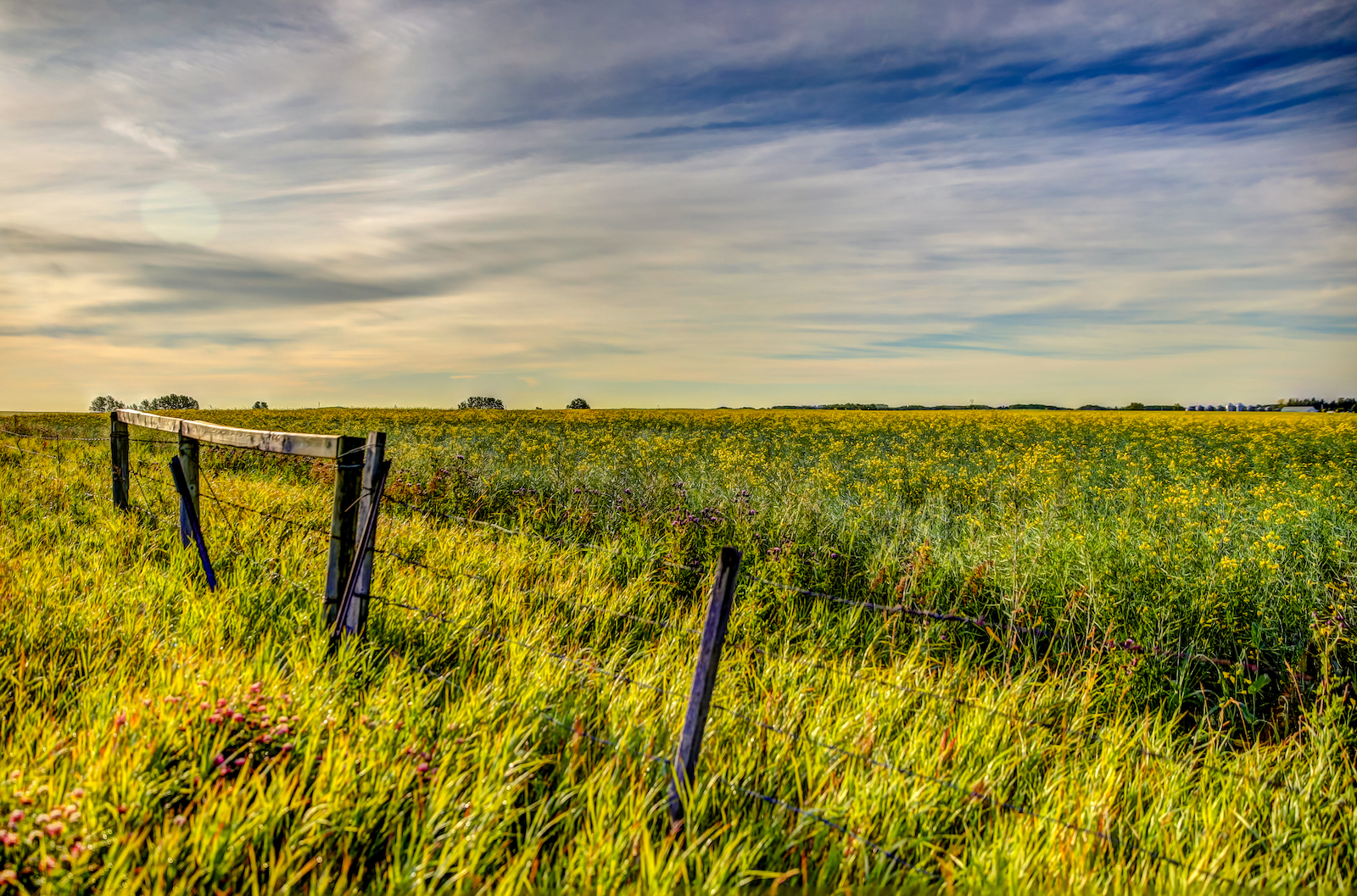 2019 Calgary Rural-28.JPG