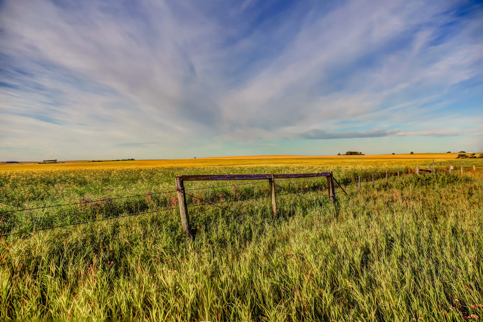 2019 Calgary Rural-29.JPG