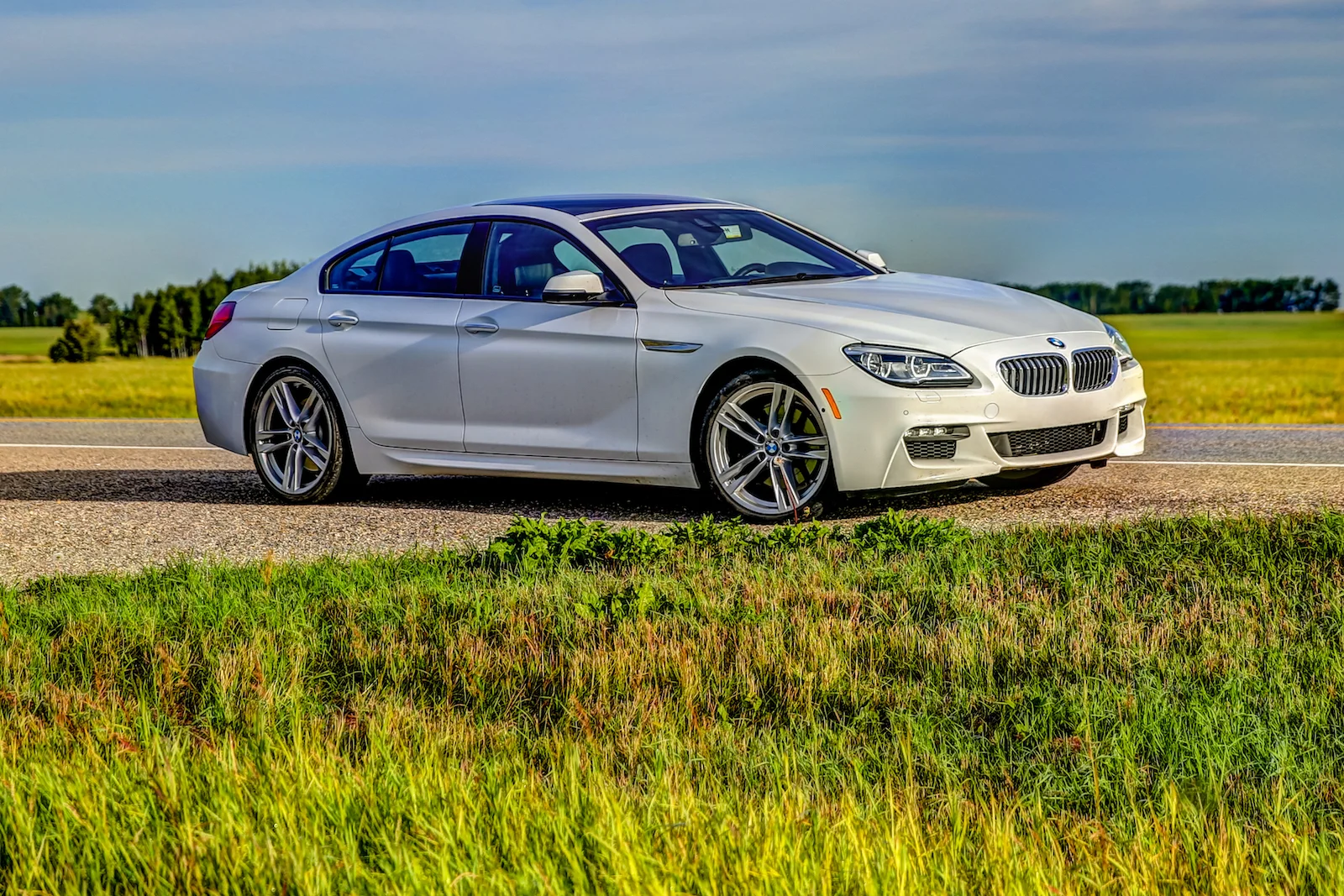 2019 Calgary Rural-33.JPG