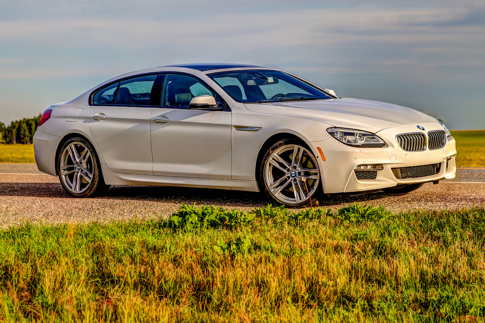 2019 Calgary Rural-34.JPG