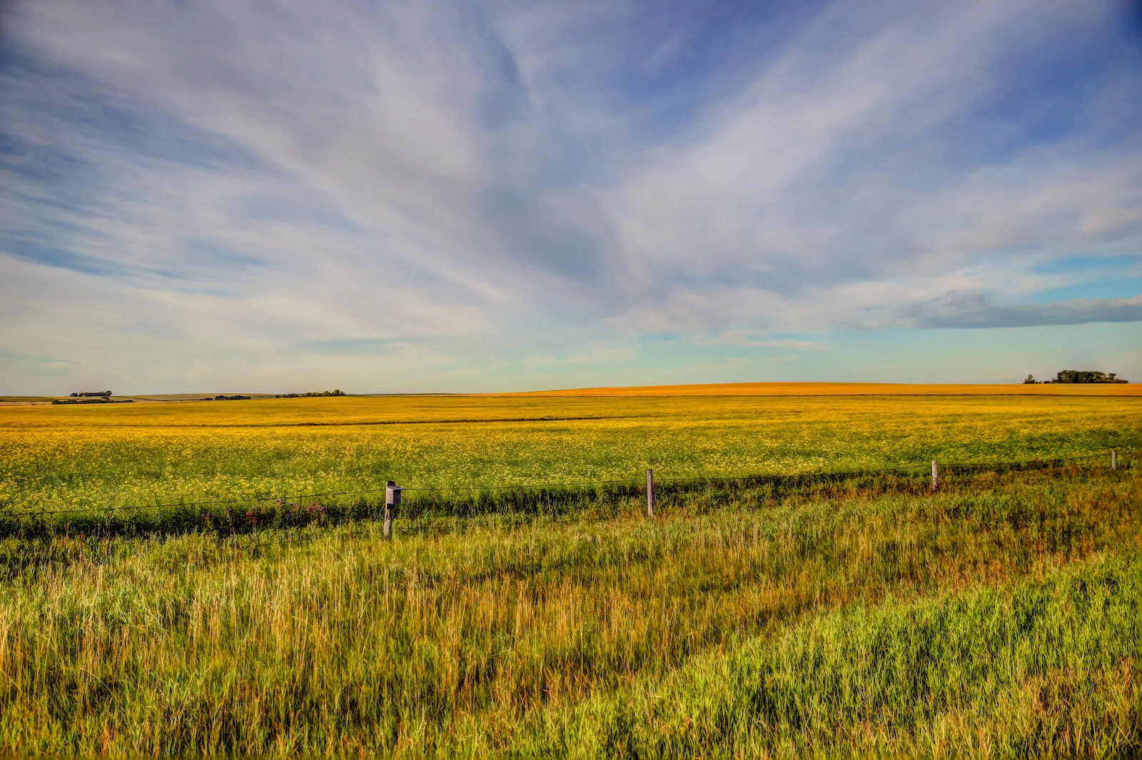 2019 Calgary Rural-35.JPG