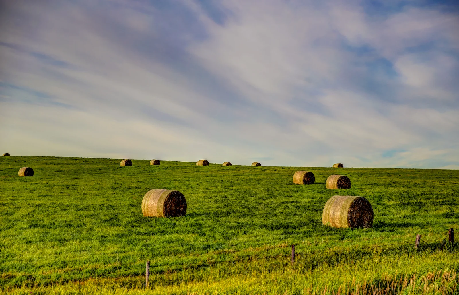 2019 Calgary Rural-36.JPG