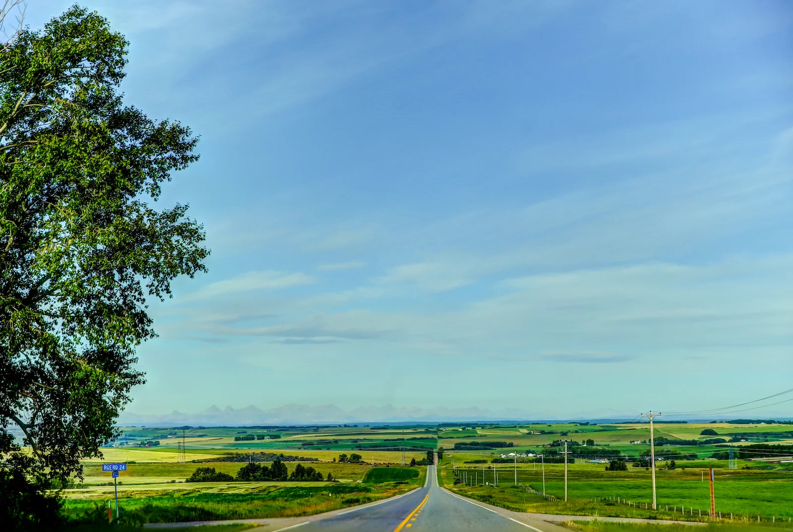 2019 Calgary Rural-38.JPG