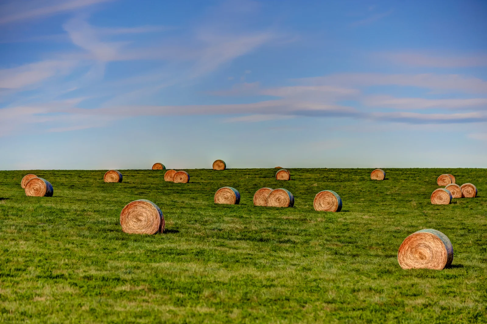 2019 Calgary Rural-54.JPG