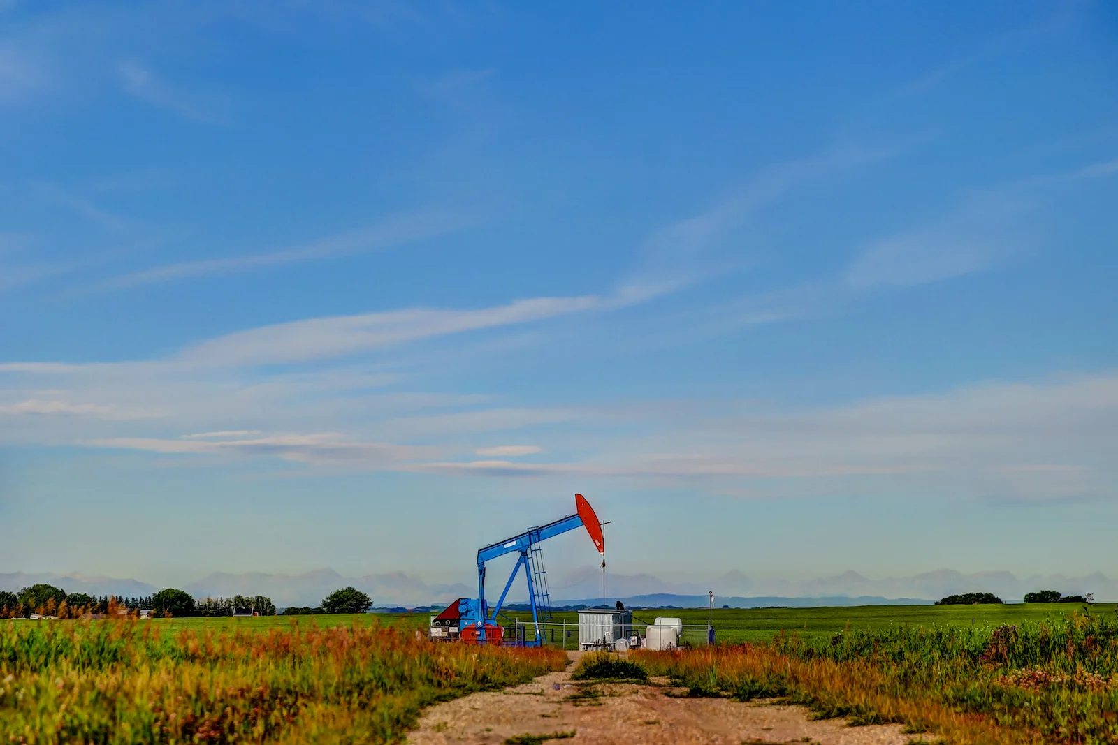 2019 Calgary Rural-67.JPG