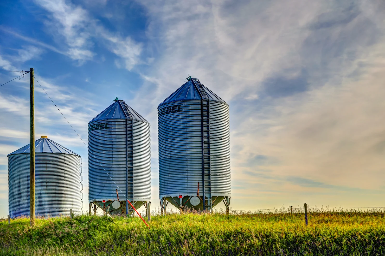 2019 Calgary Rural-69.JPG