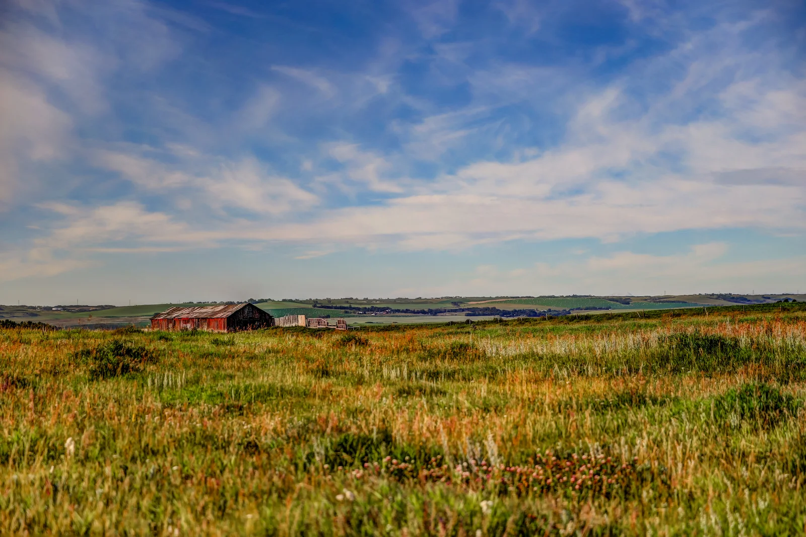 2019 Calgary Rural-70.JPG