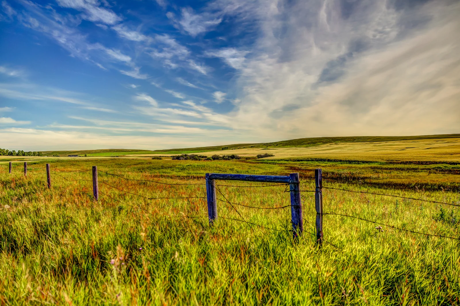 2019 Calgary Rural-71.JPG