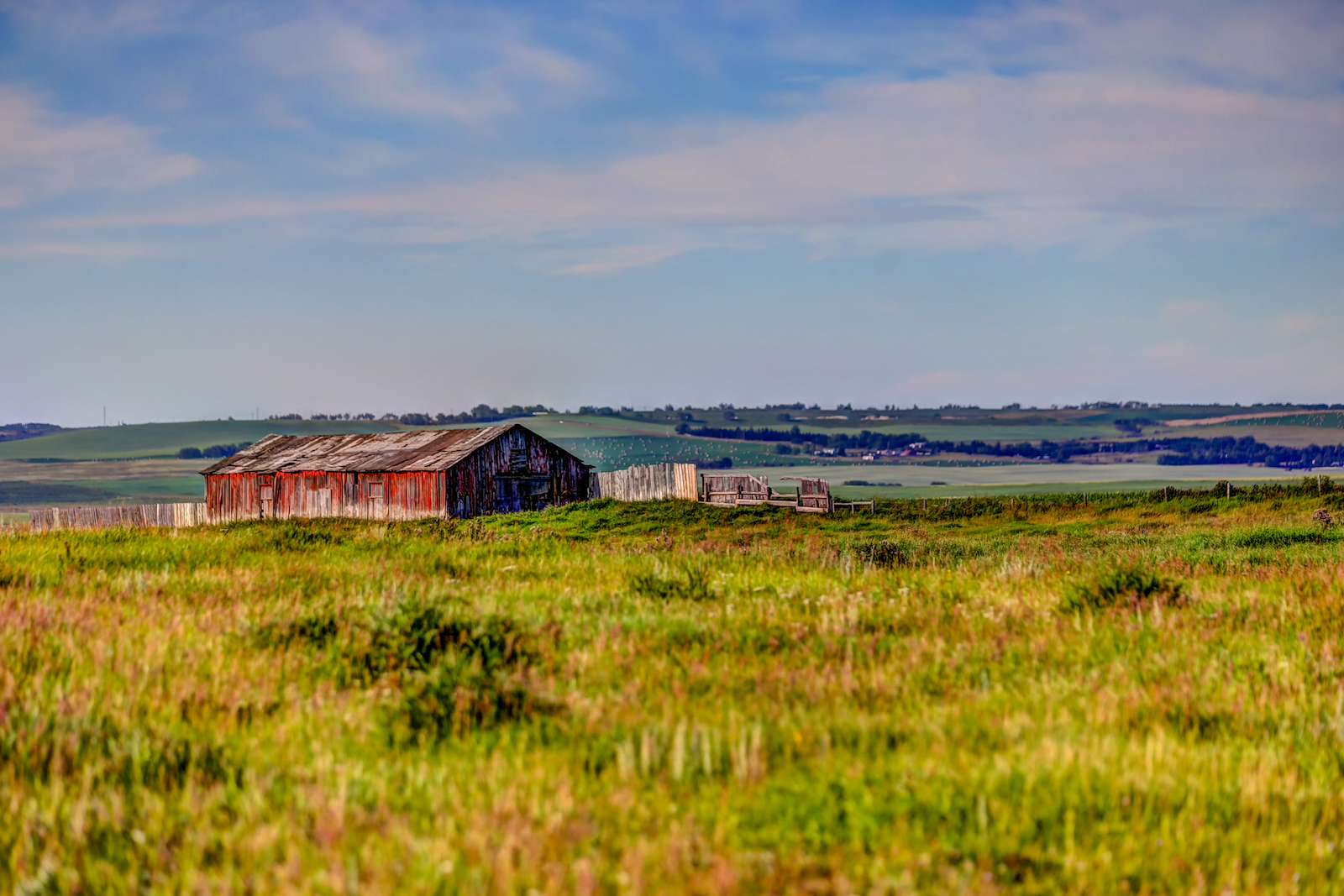 2019 Calgary Rural-77.JPG