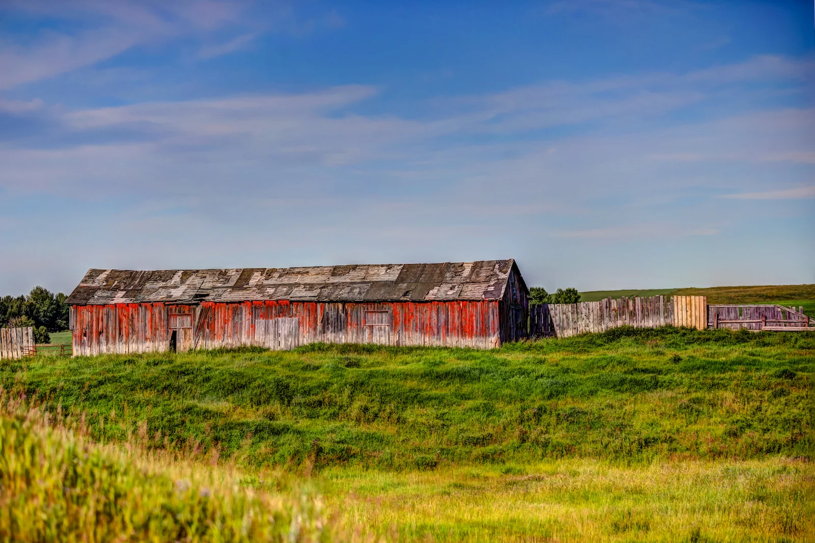 2019 Calgary Rural-79.JPG