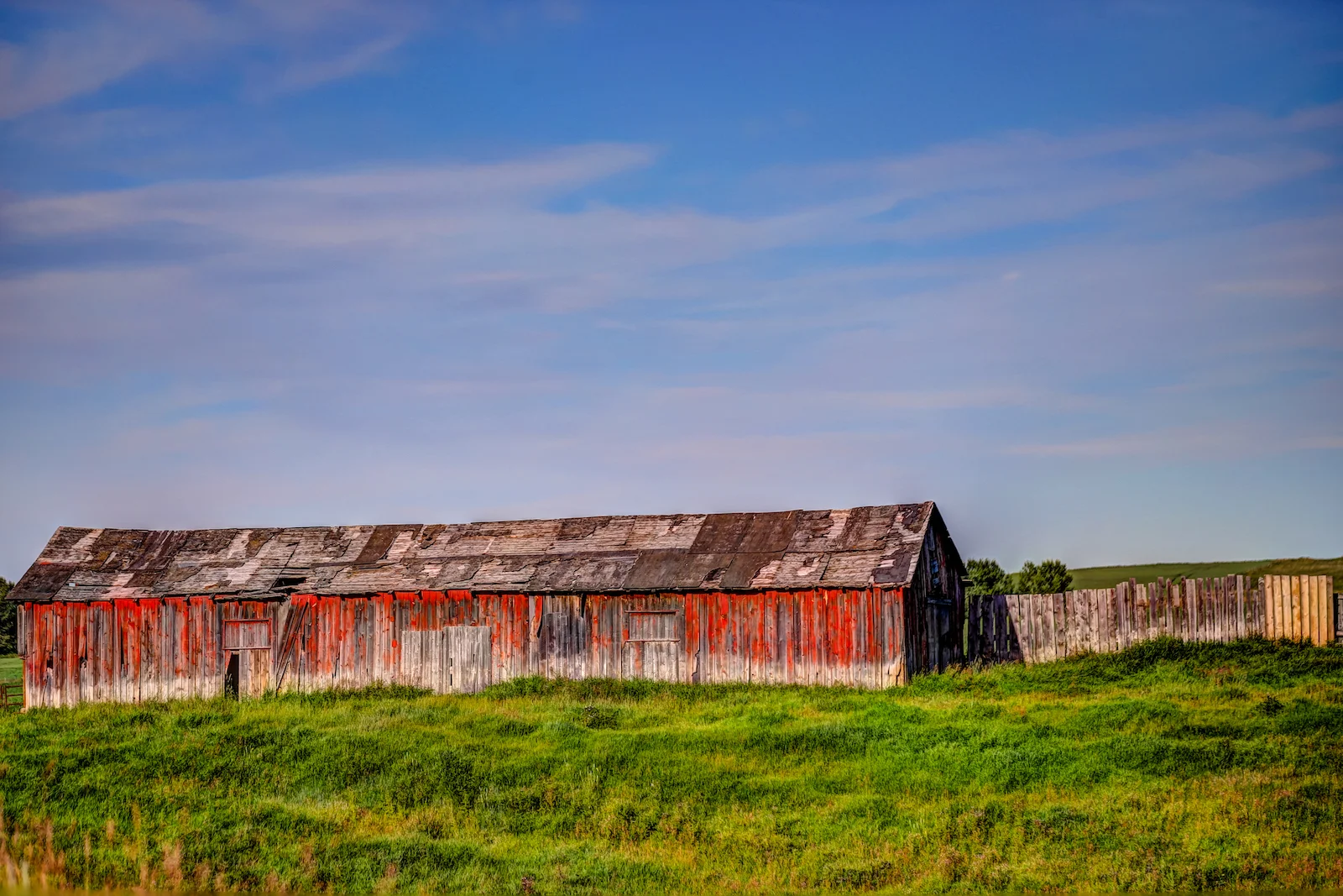 2019 Calgary Rural-80.JPG