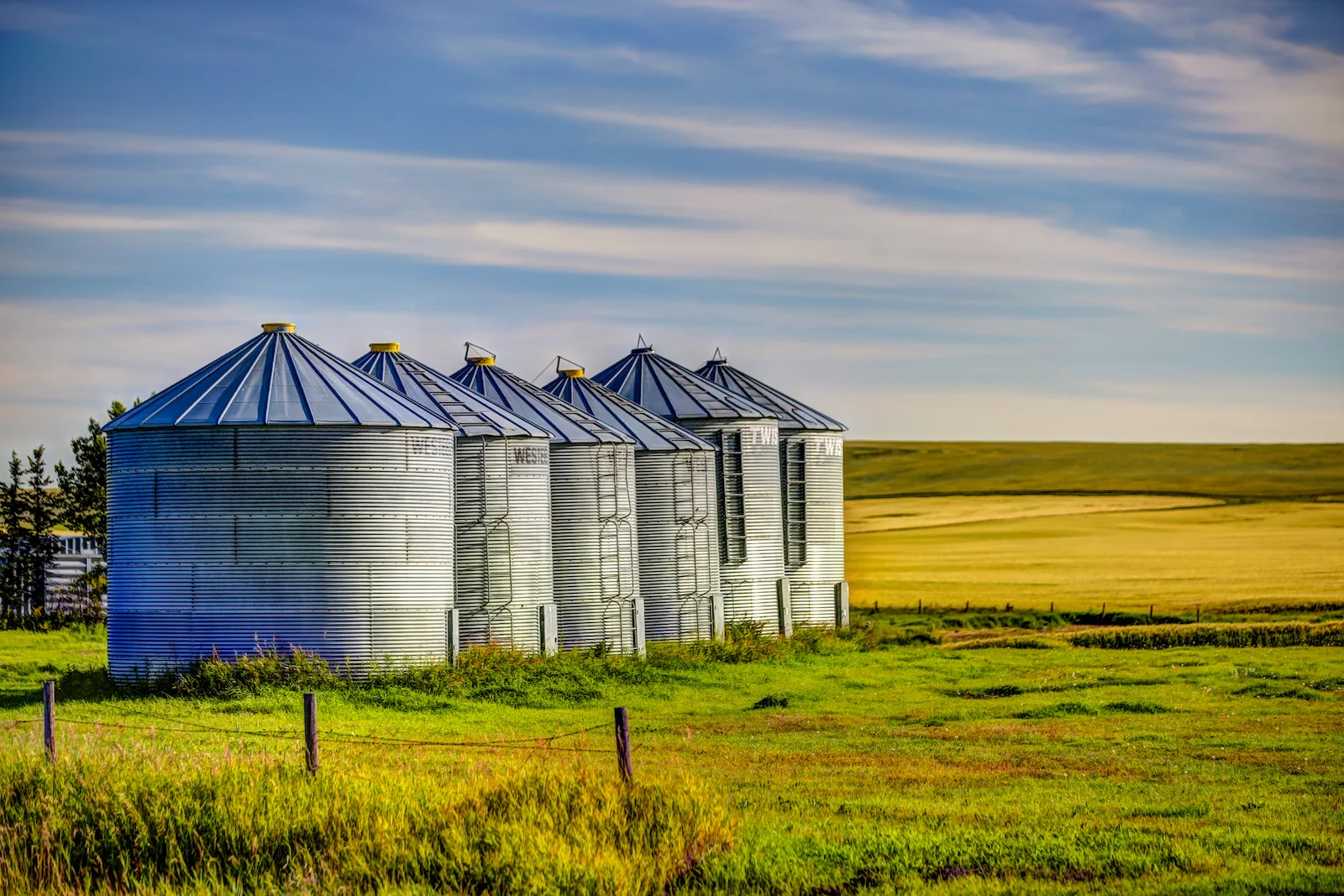 2019 Calgary Rural-81.JPG