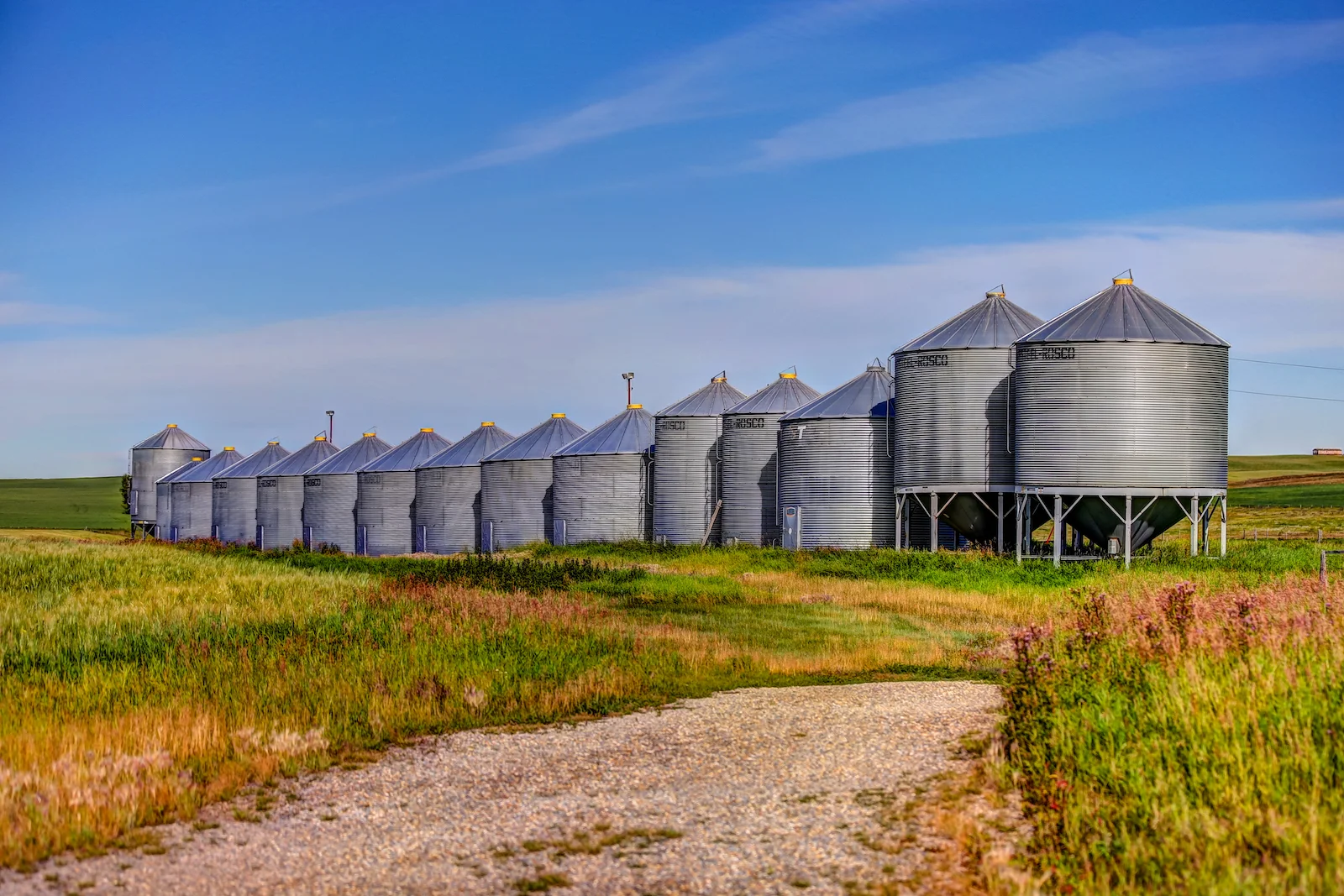 2019 Calgary Rural-82.JPG