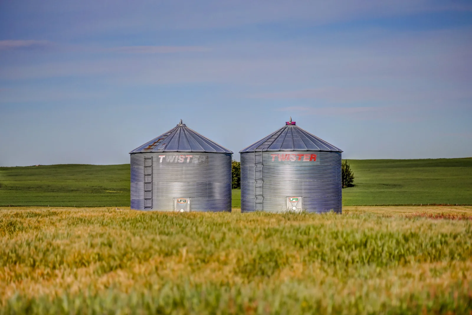 2019 Calgary Rural-83.JPG