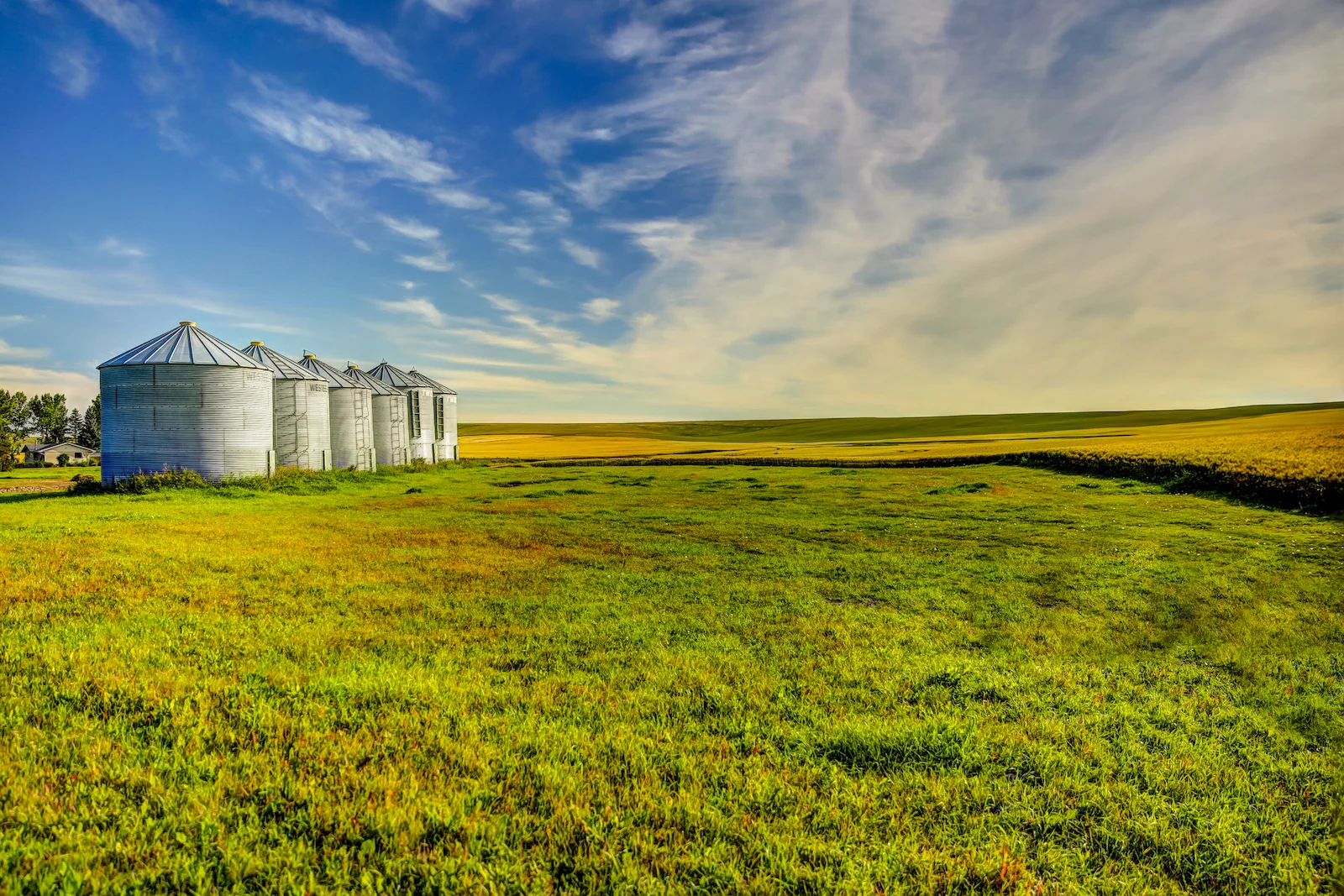 2019 Calgary Rural-85.JPG