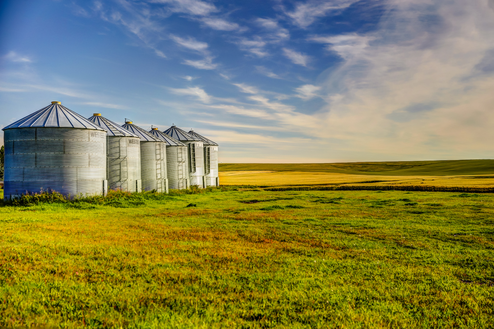 2019 Calgary Rural-86.JPG