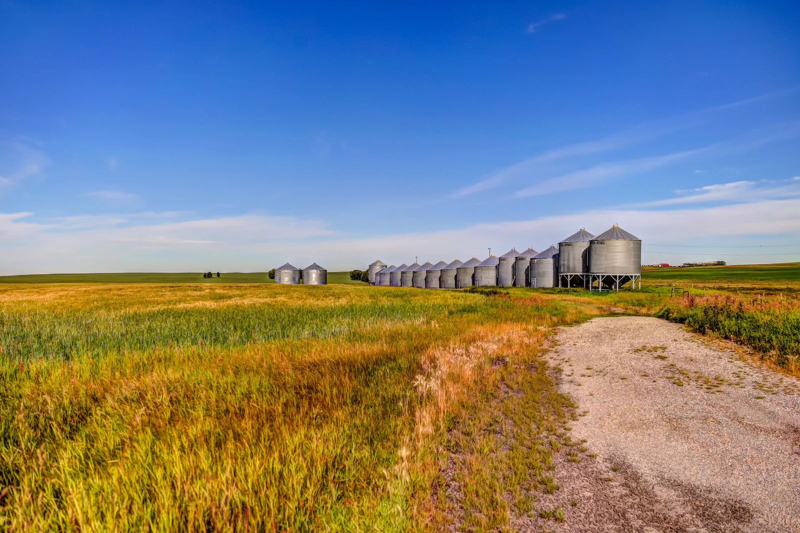 2019 Calgary Rural-88.JPG