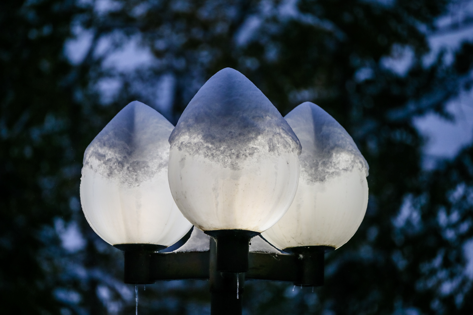 2018 OCTOBER SNOW-3.JPG