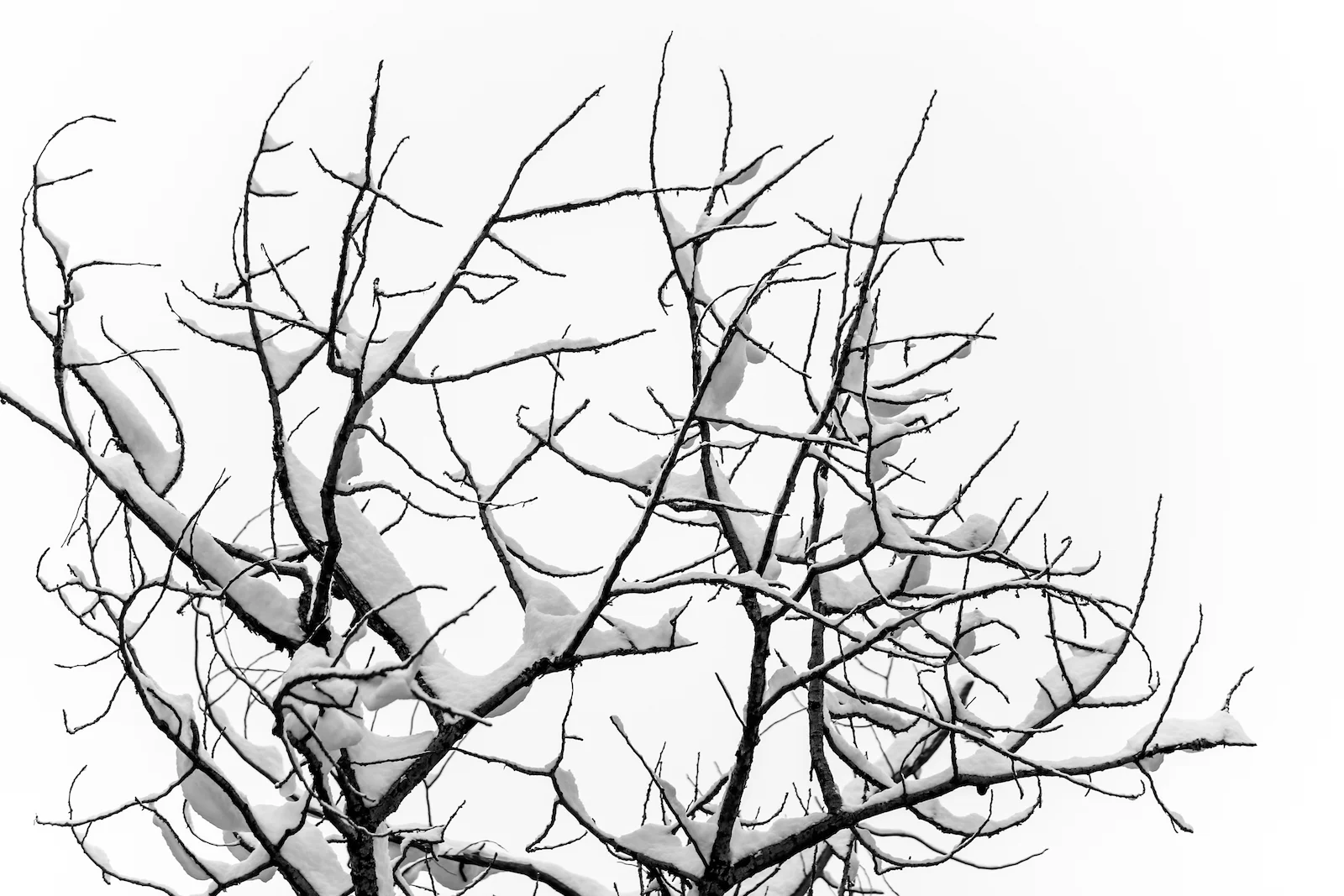 2018 OCTOBER SNOW-14.JPG