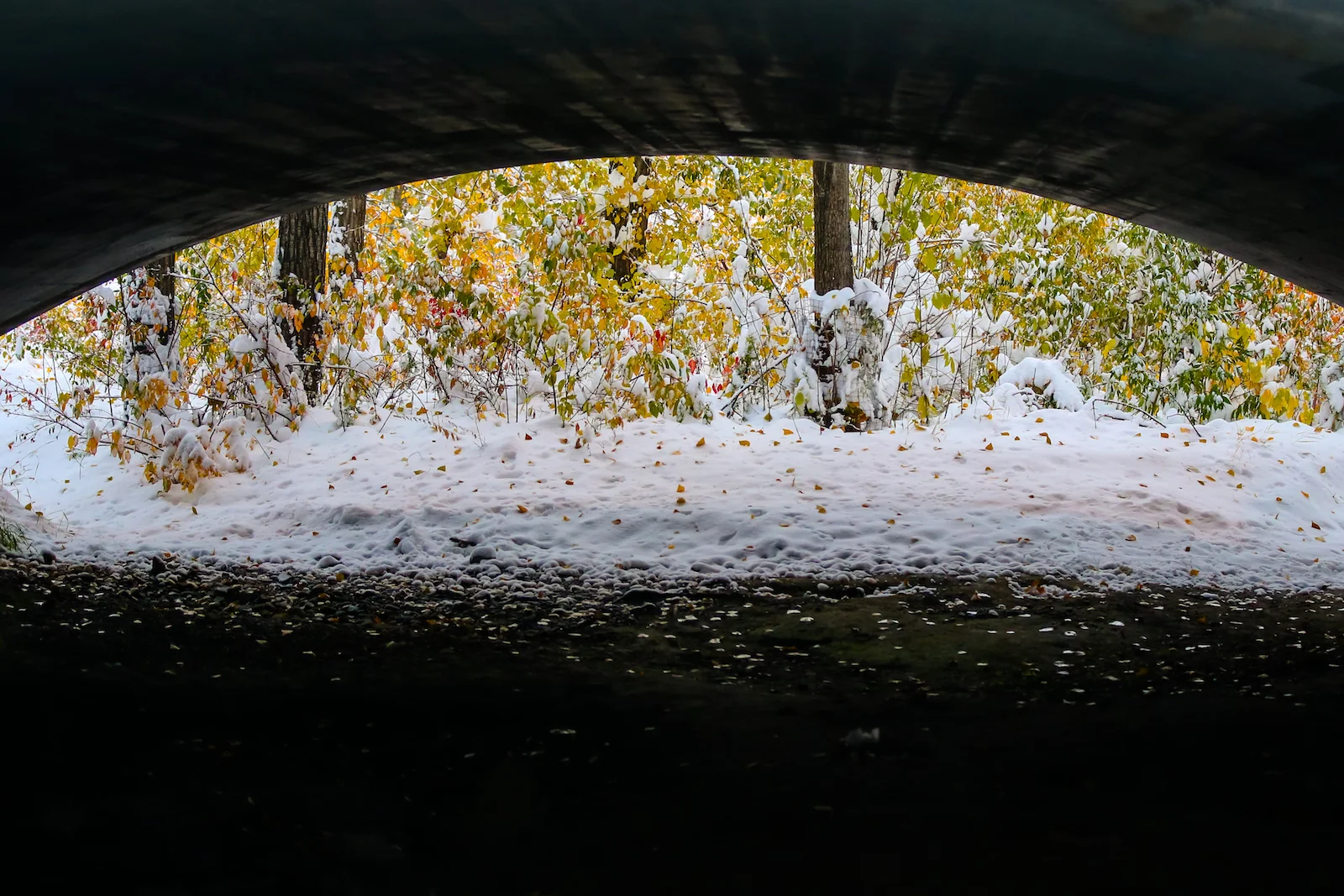 2018 OCTOBER SNOW-23.JPG