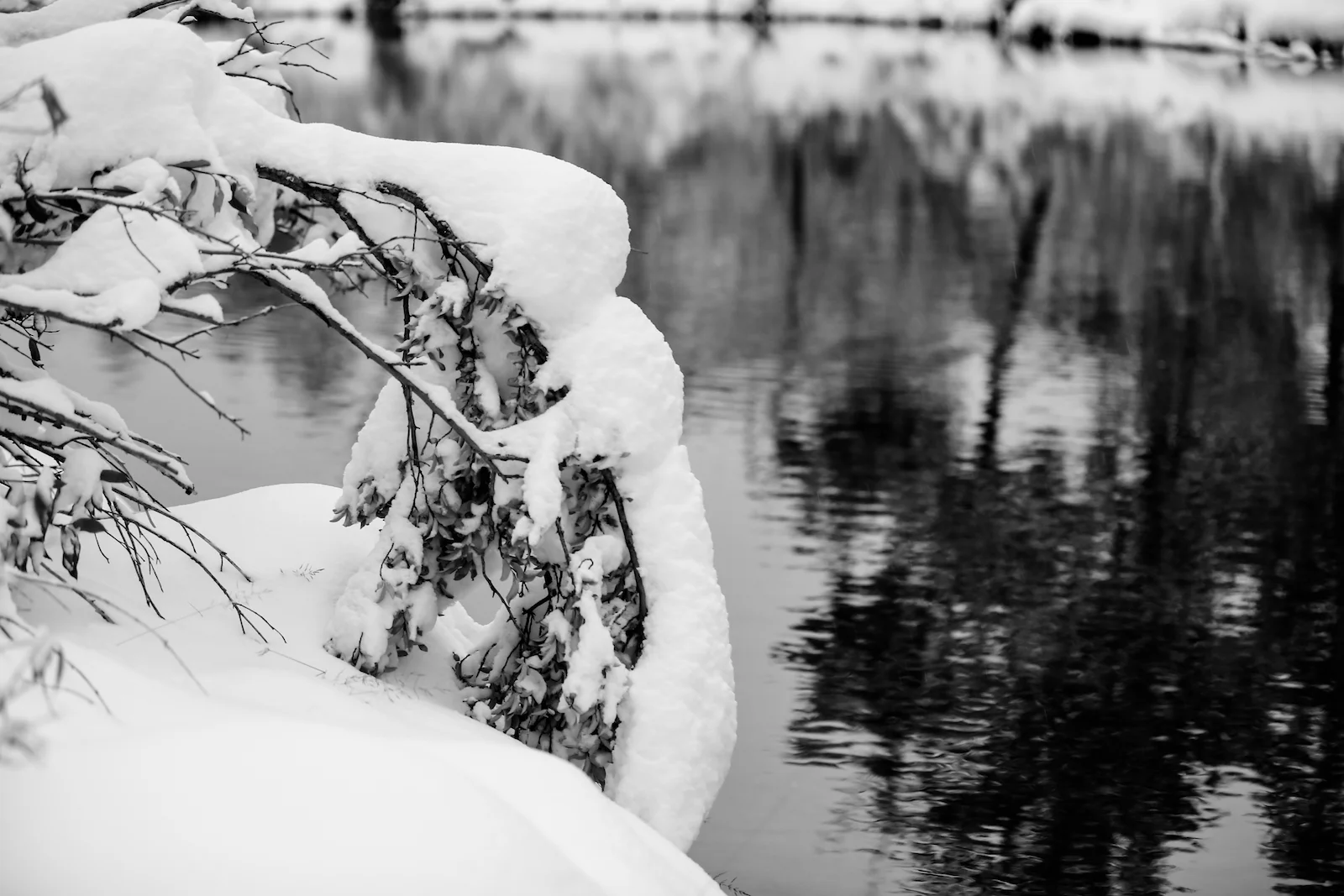 2018 OCTOBER SNOW-25.JPG