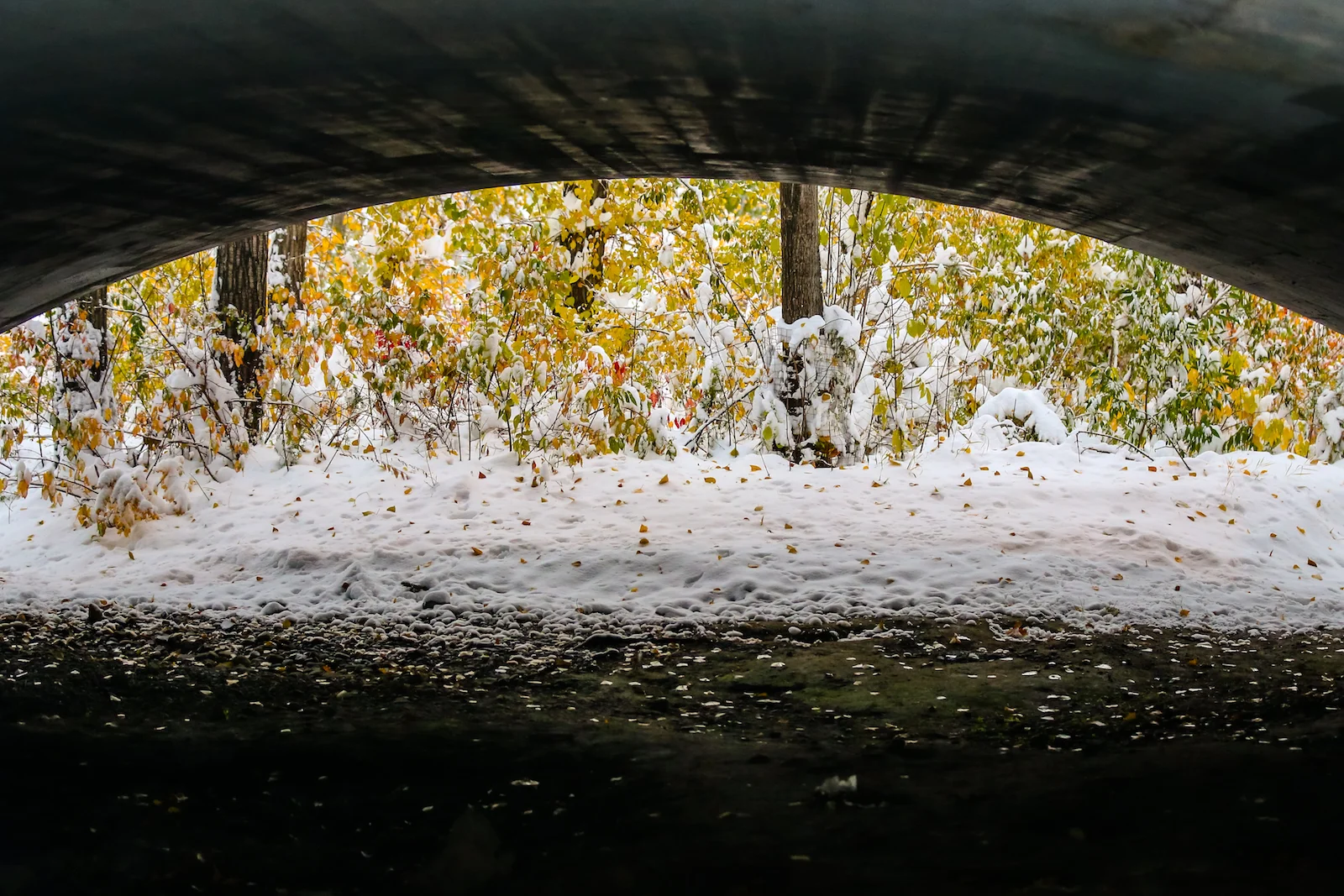 2018 OCTOBER SNOW-24.JPG