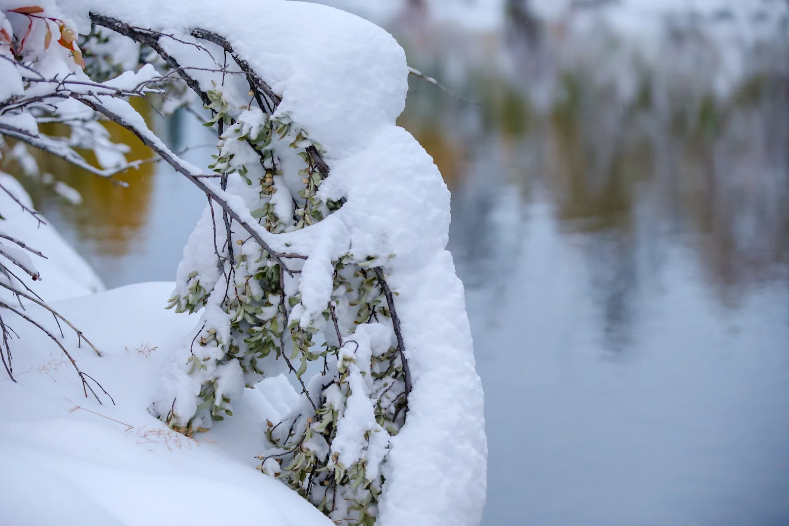 2018 OCTOBER SNOW-26.JPG