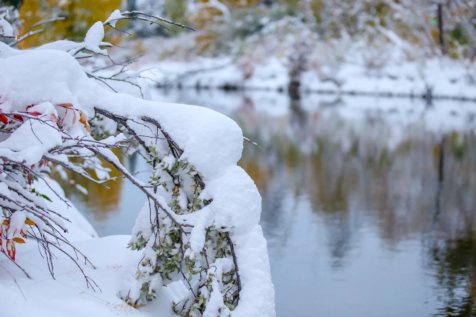 2018 OCTOBER SNOW-27.JPG