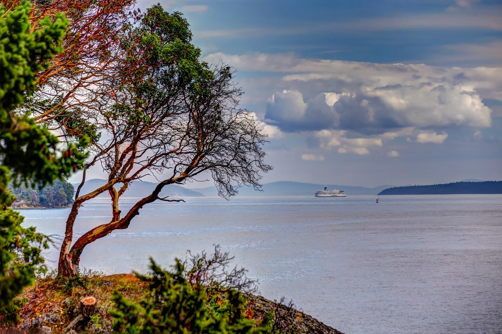 BC ISLANDS SECRET-2.JPG