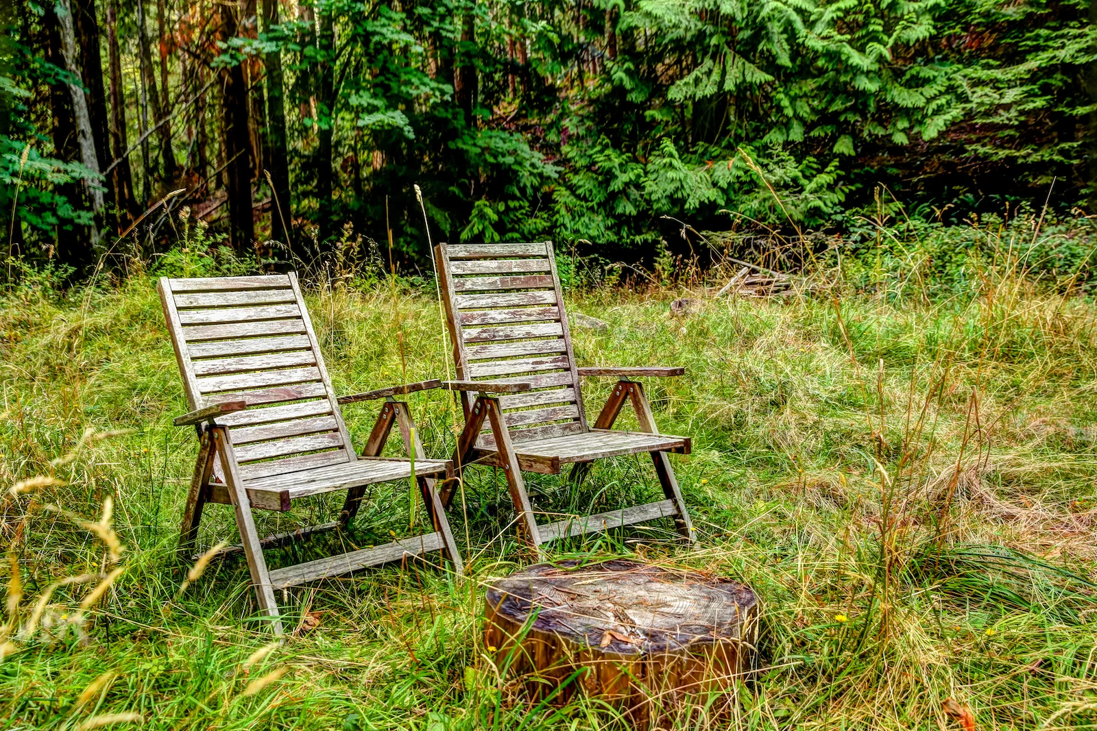 BC ISLANDS SECRET-15.JPG