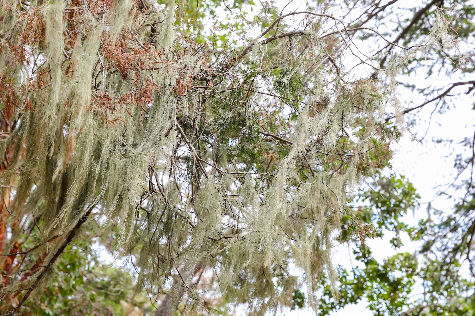 BC ISLANDS SECRET-41.JPG