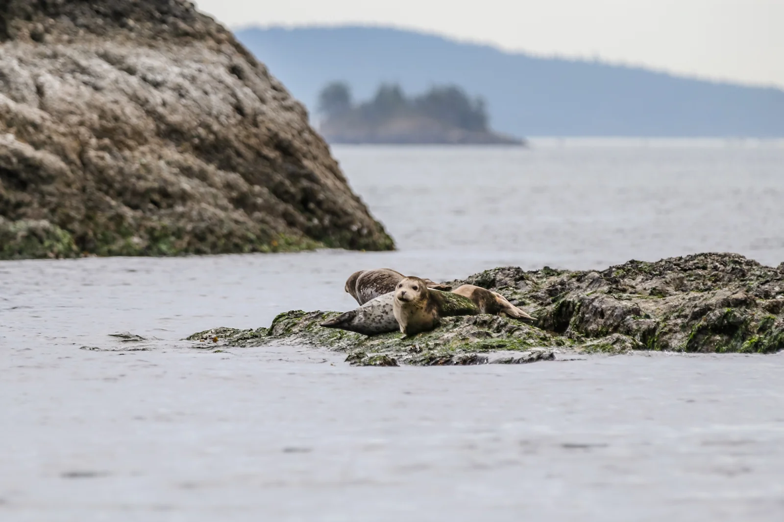 BC ISLANDS SECRET-47.JPG