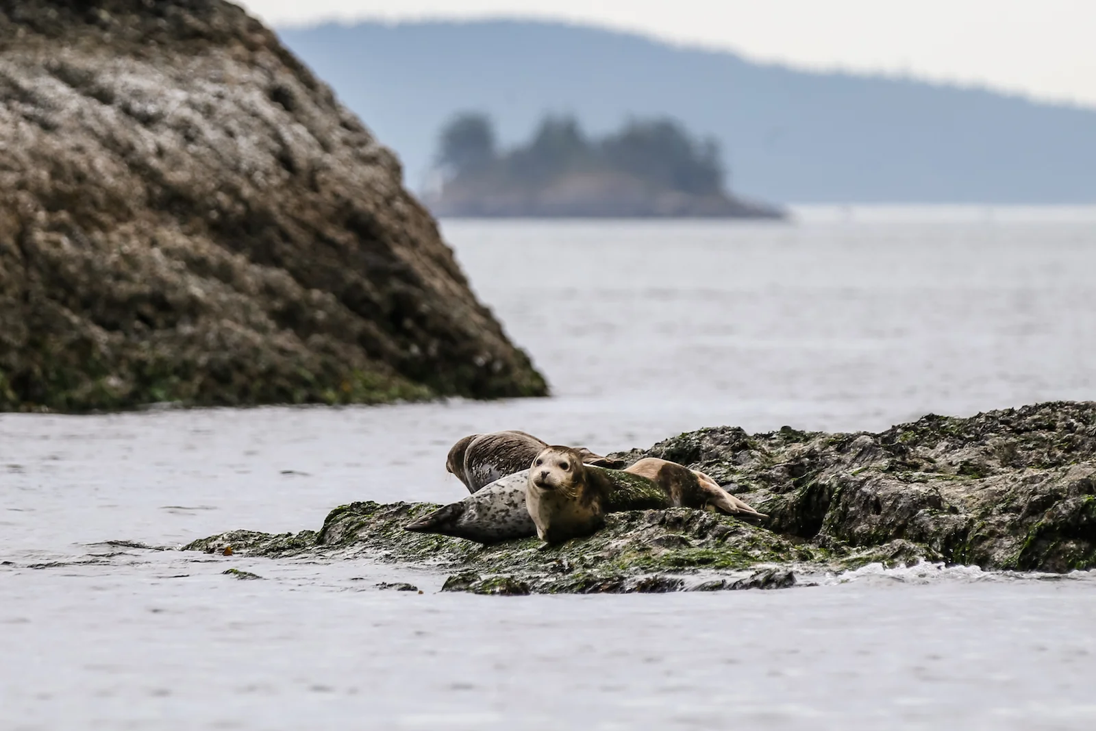 BC ISLANDS SECRET-48.JPG