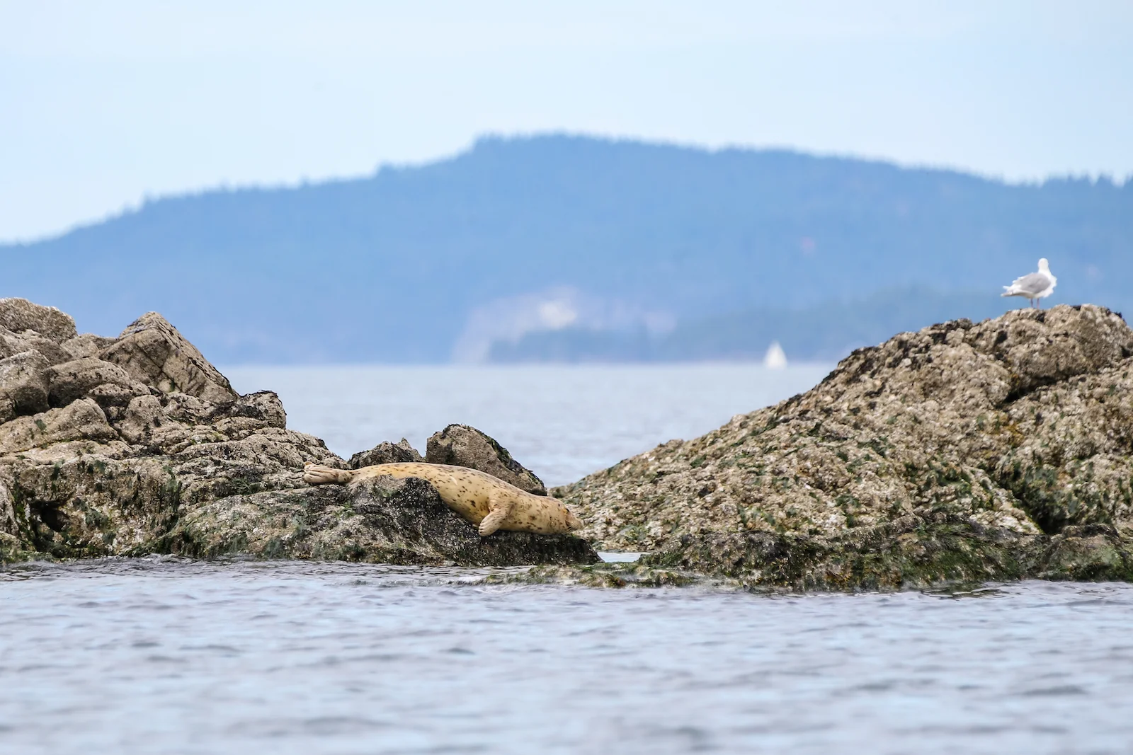 BC ISLANDS SECRET-51.JPG