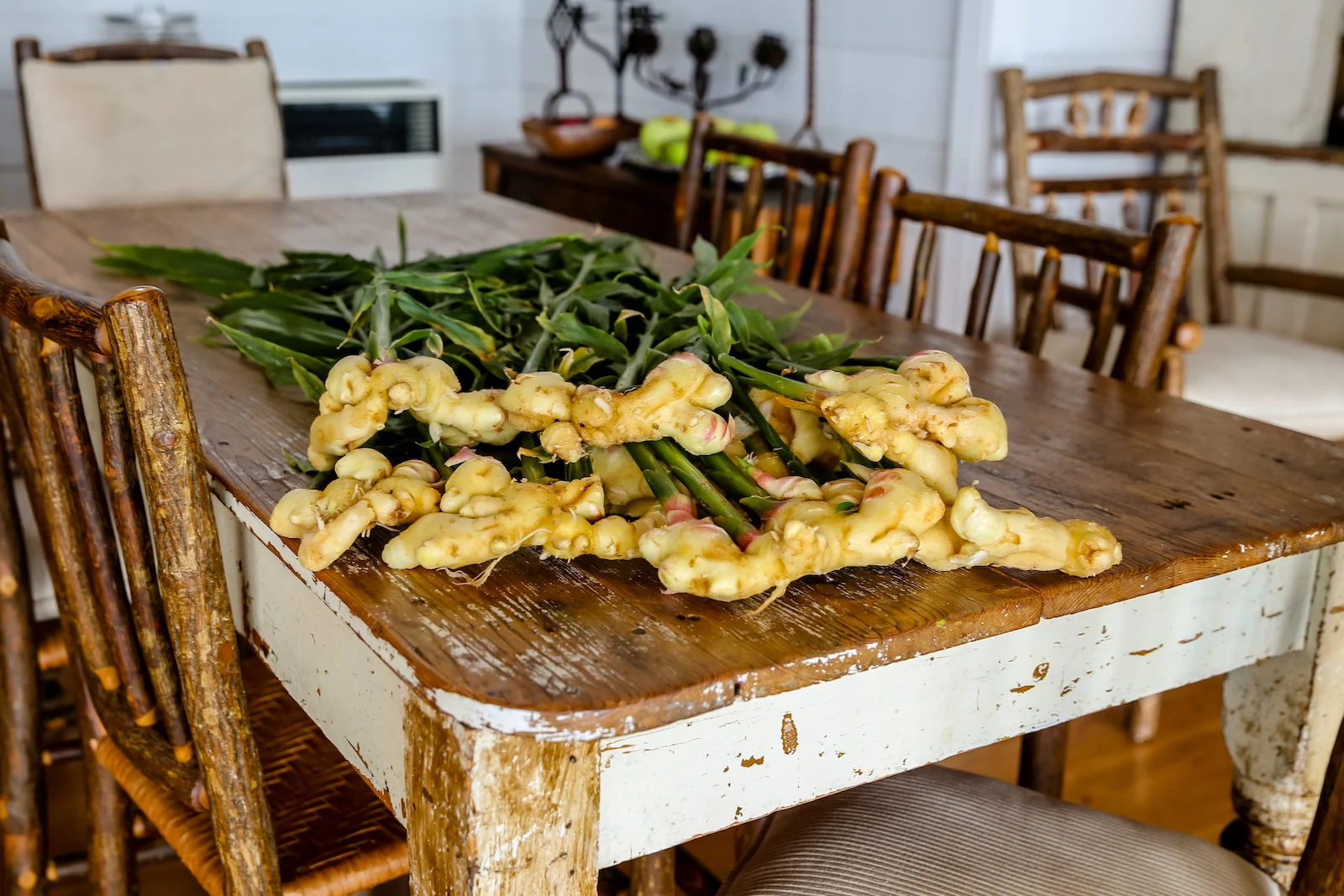 BC ISLANDS SECRET-52.JPG