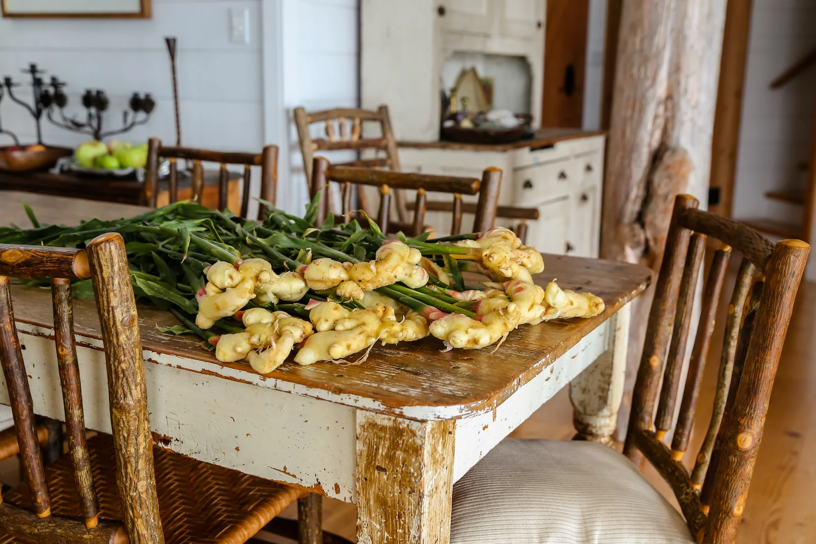 BC ISLANDS SECRET-53.JPG