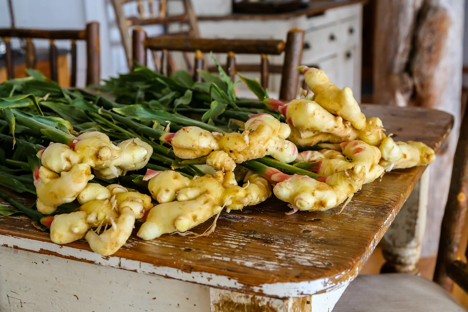 BC ISLANDS SECRET-54.JPG