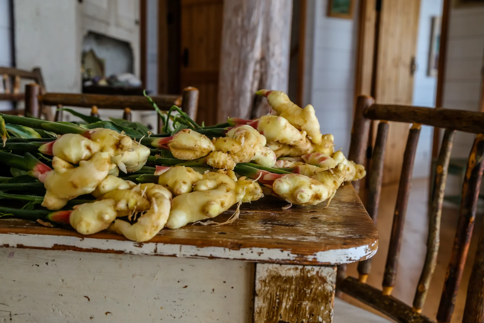 BC ISLANDS SECRET-55.JPG