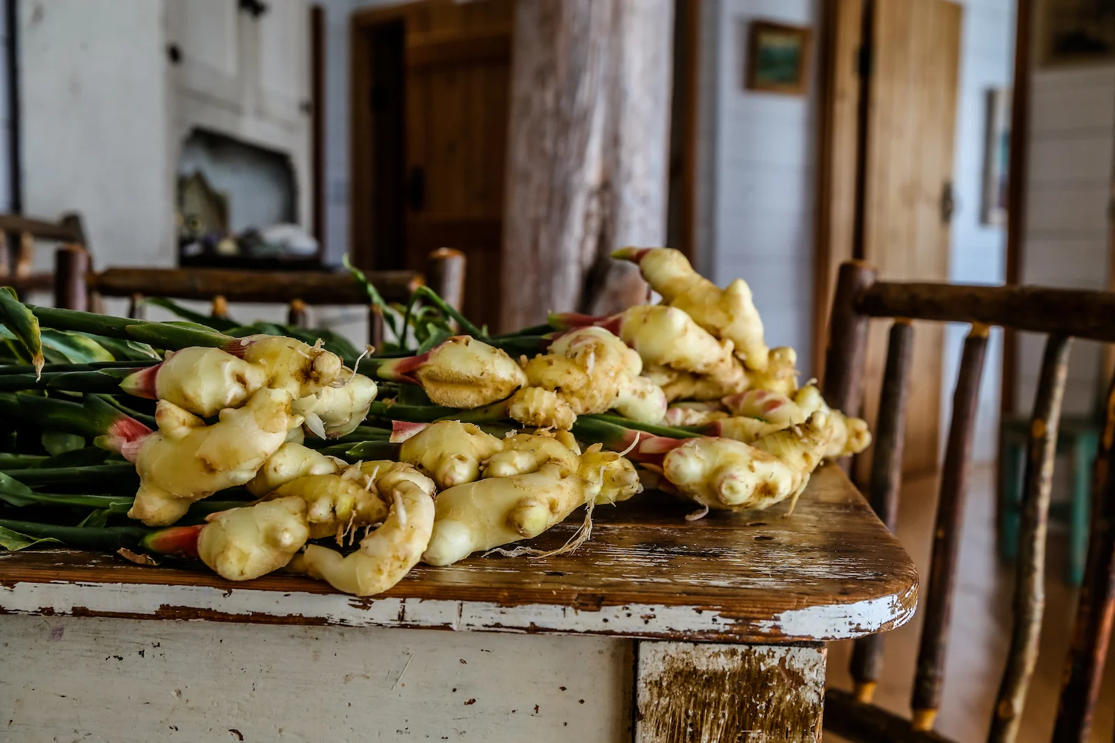 BC ISLANDS SECRET-56.JPG