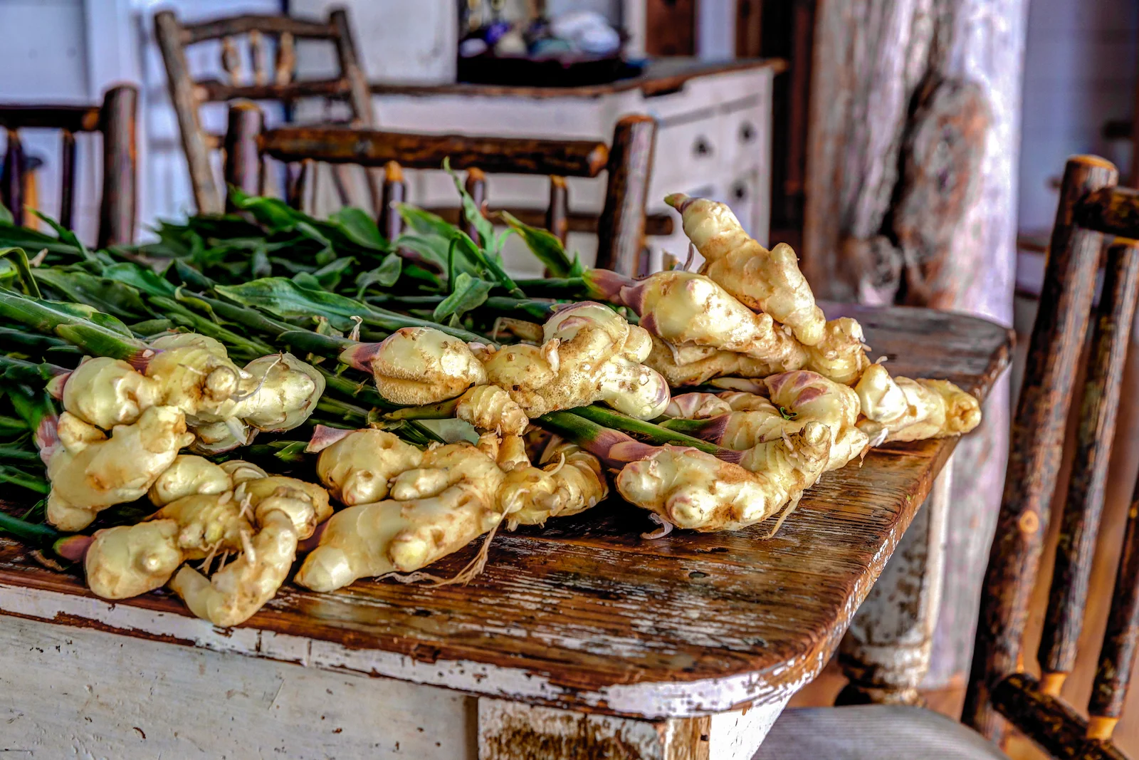 BC ISLANDS SECRET-57.JPG