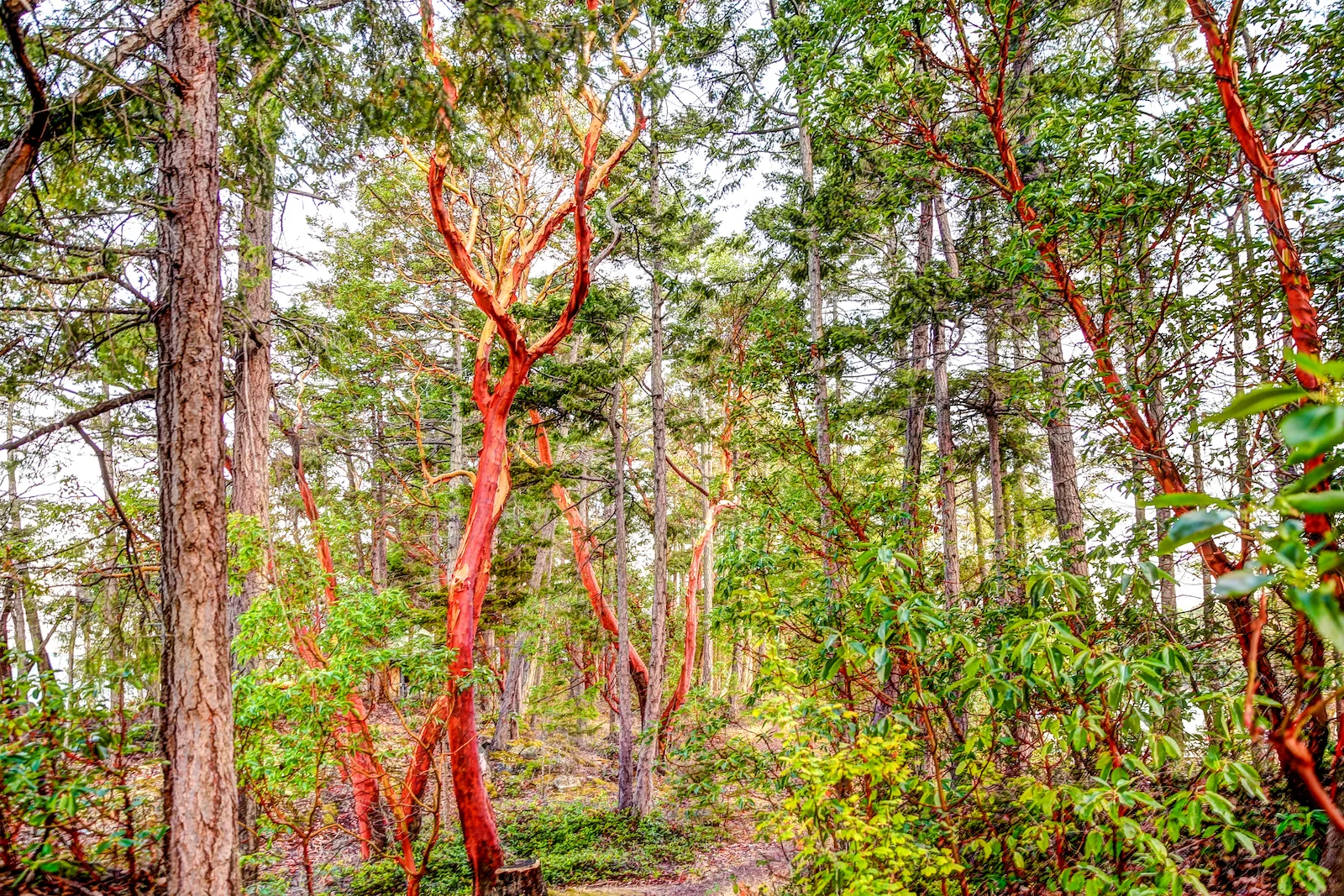 BC ISLANDS SECRET-74.JPG