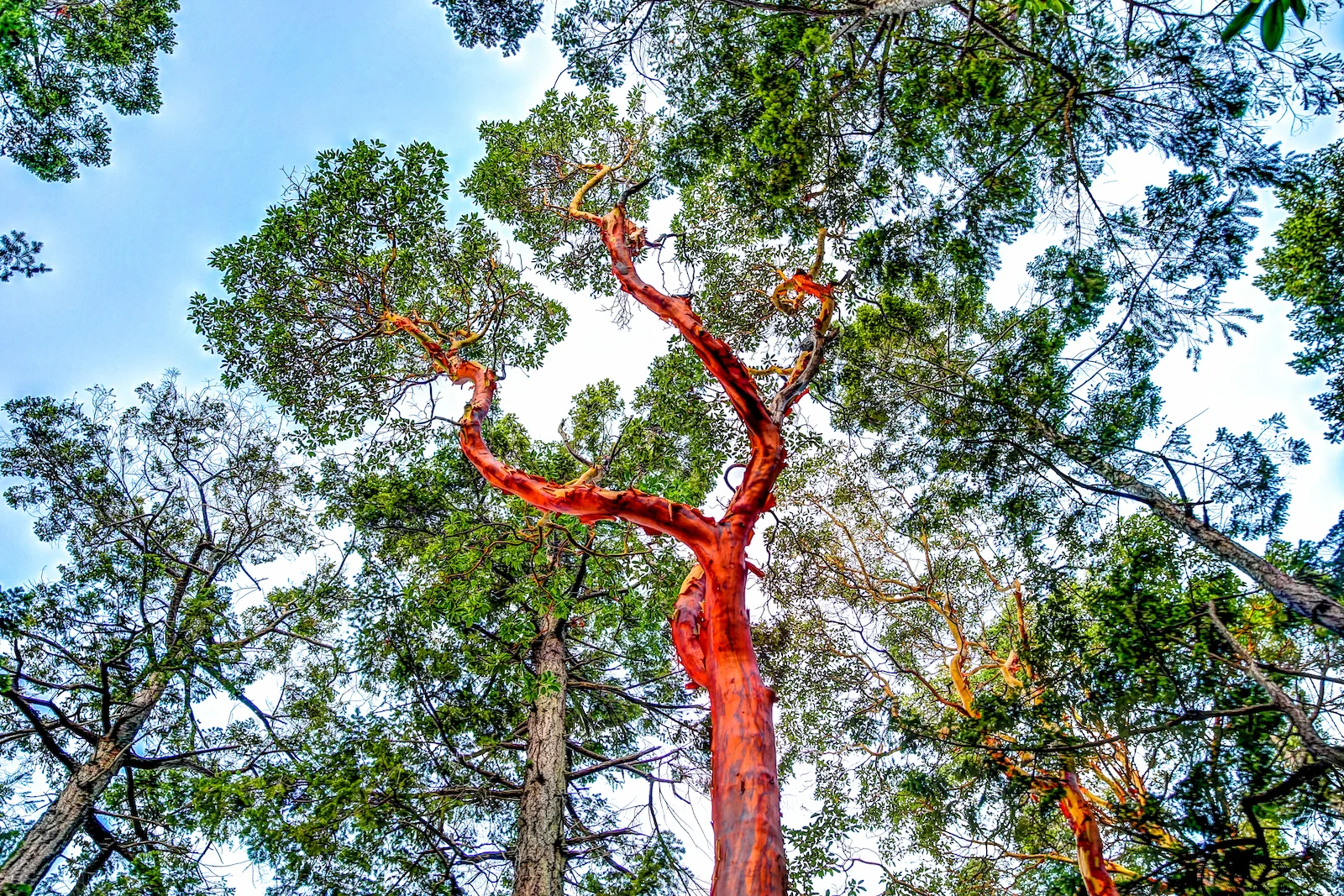 BC ISLANDS SECRET-76.JPG