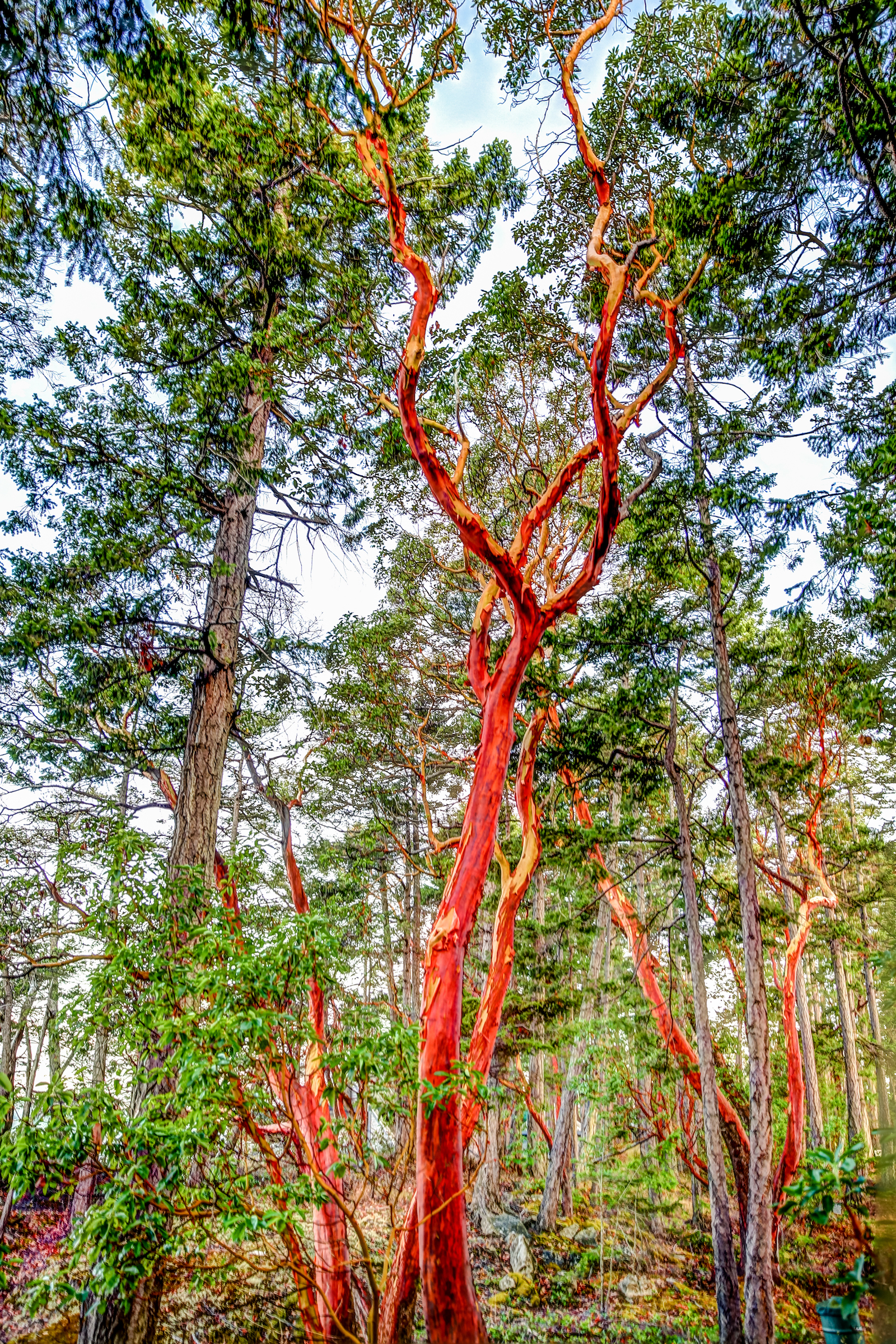 BC ISLANDS SECRET-75.JPG