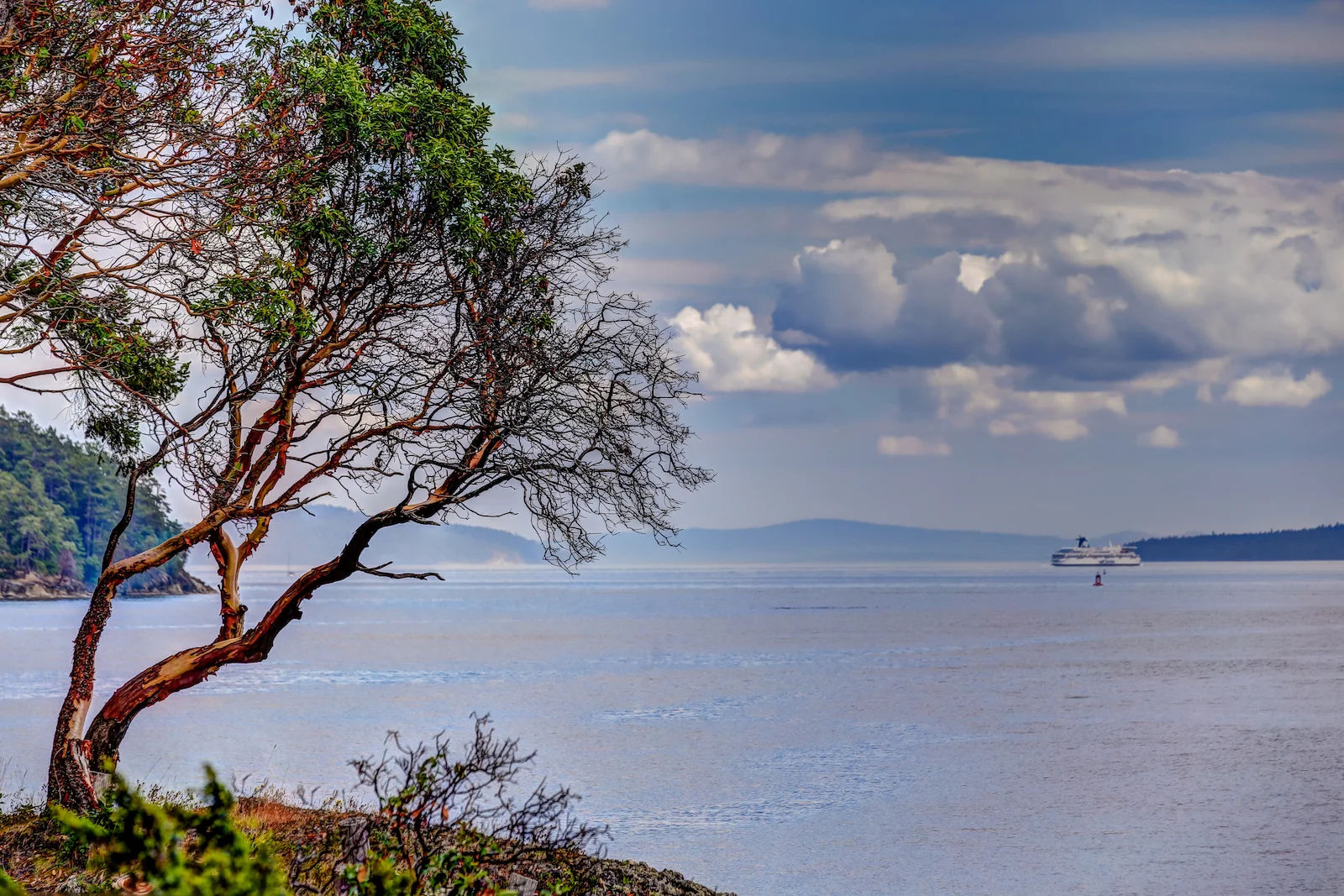 BC ISLANDS SECRET-4.JPG