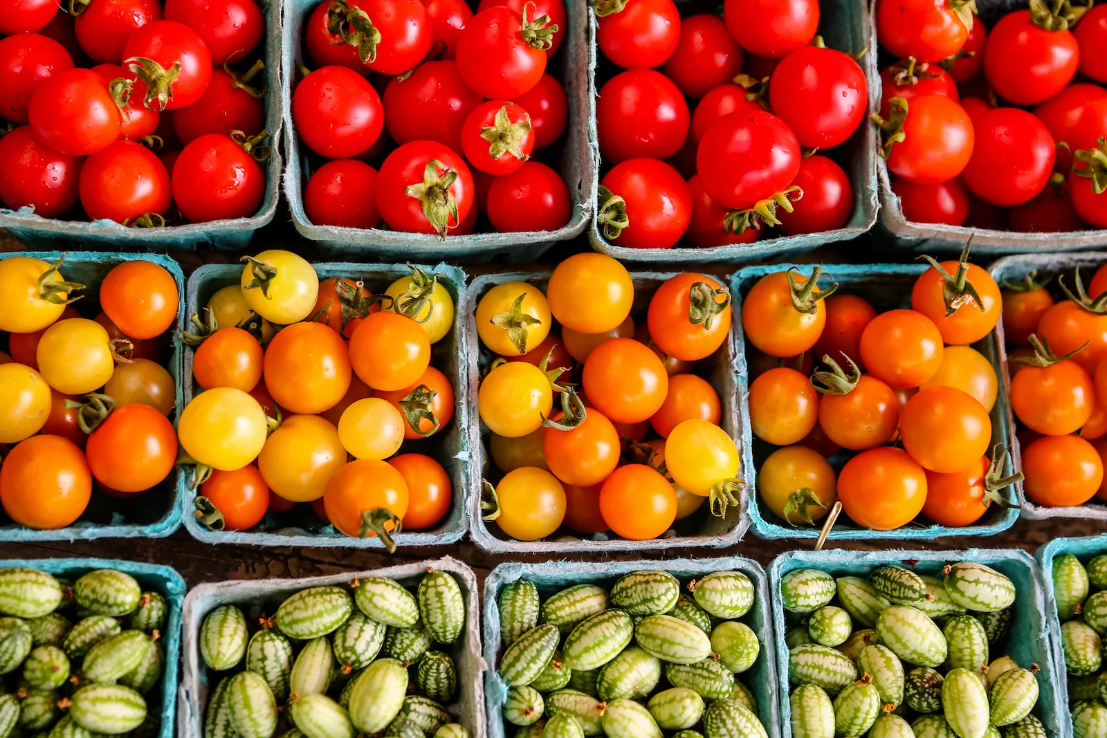 BC ISLANDS GANGES-3.JPG