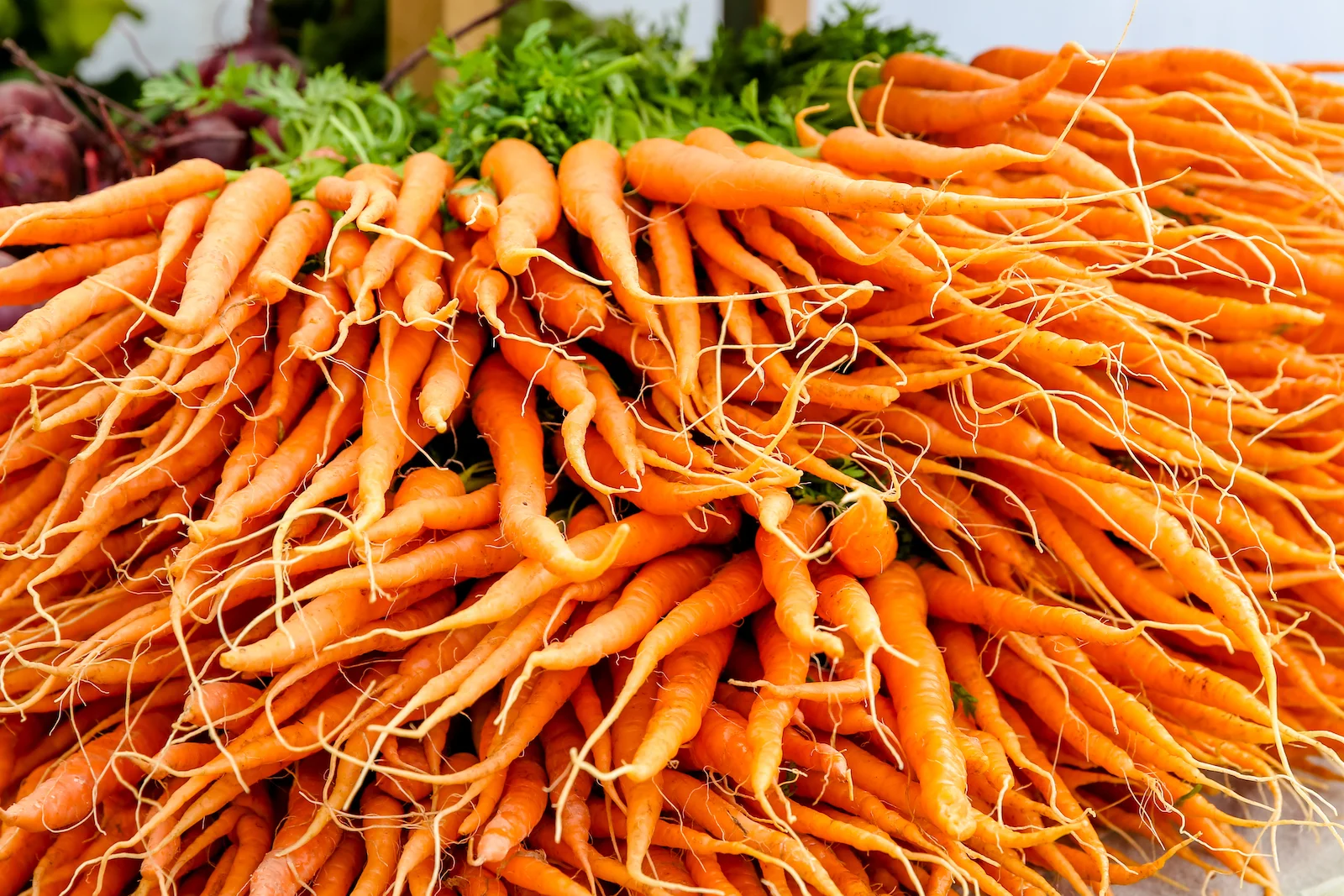 BC ISLANDS GANGES-5.JPG