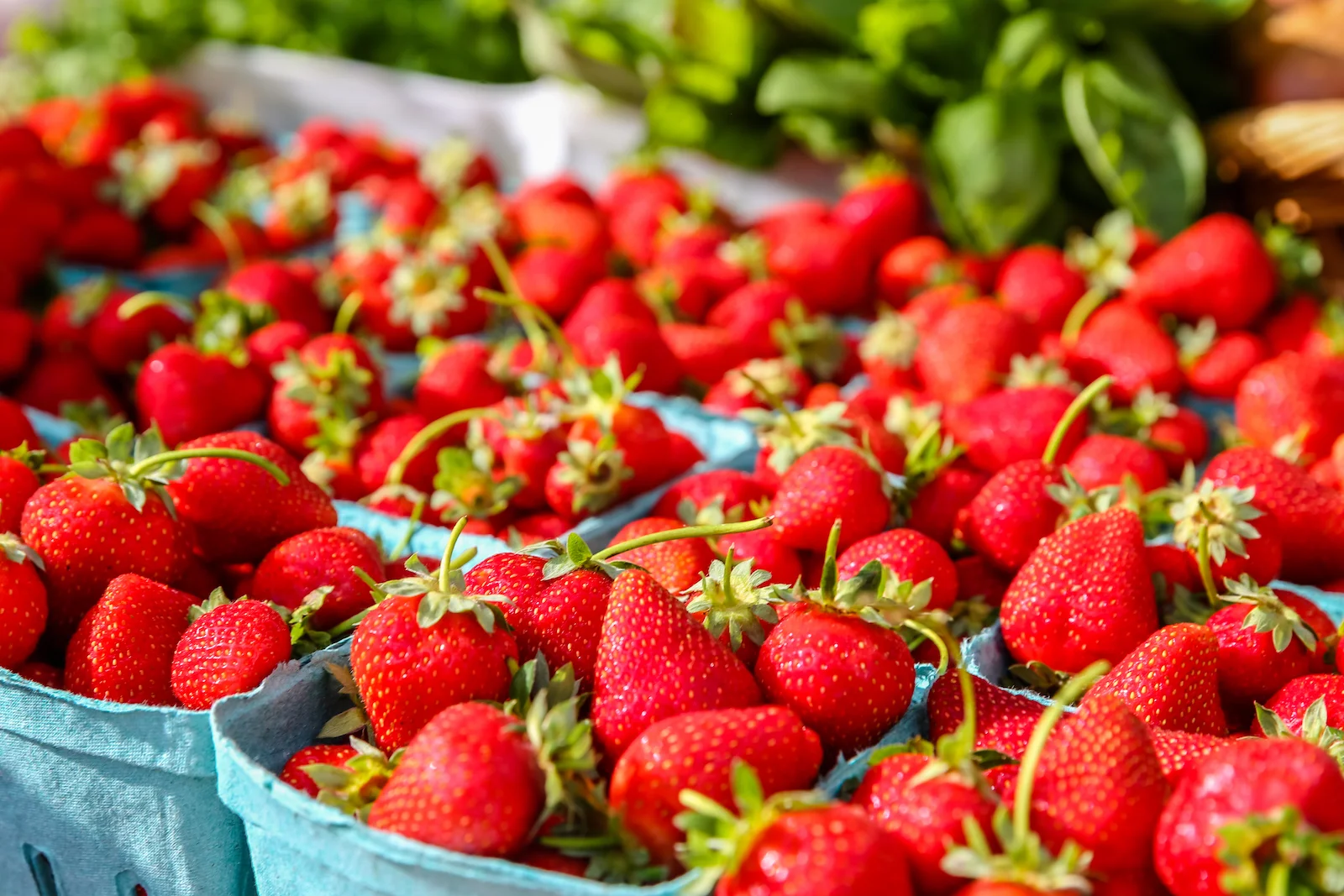 BC ISLANDS GANGES-7.JPG